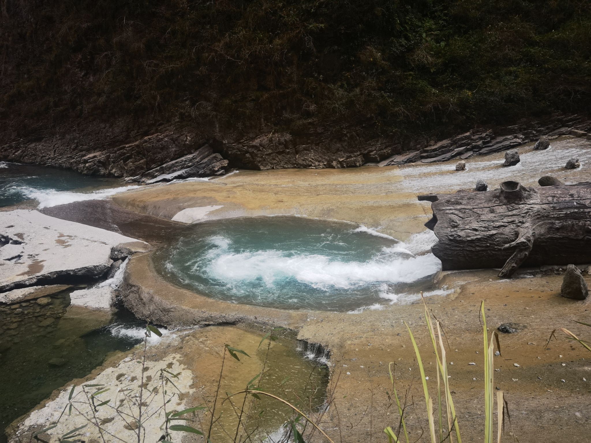 阴条岭自然保护区旅行图片 1