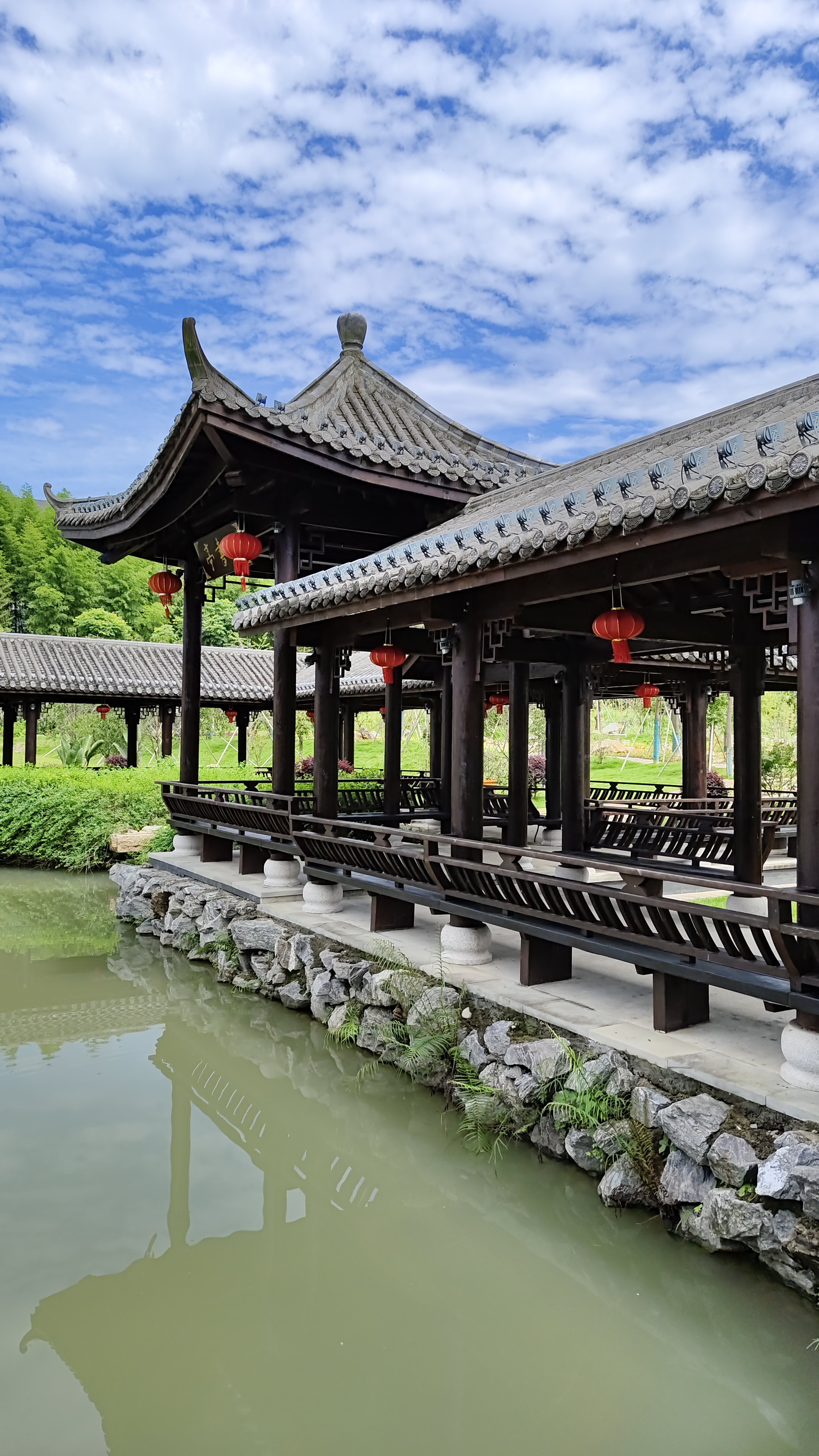 万亩荷塘旅行图片 1