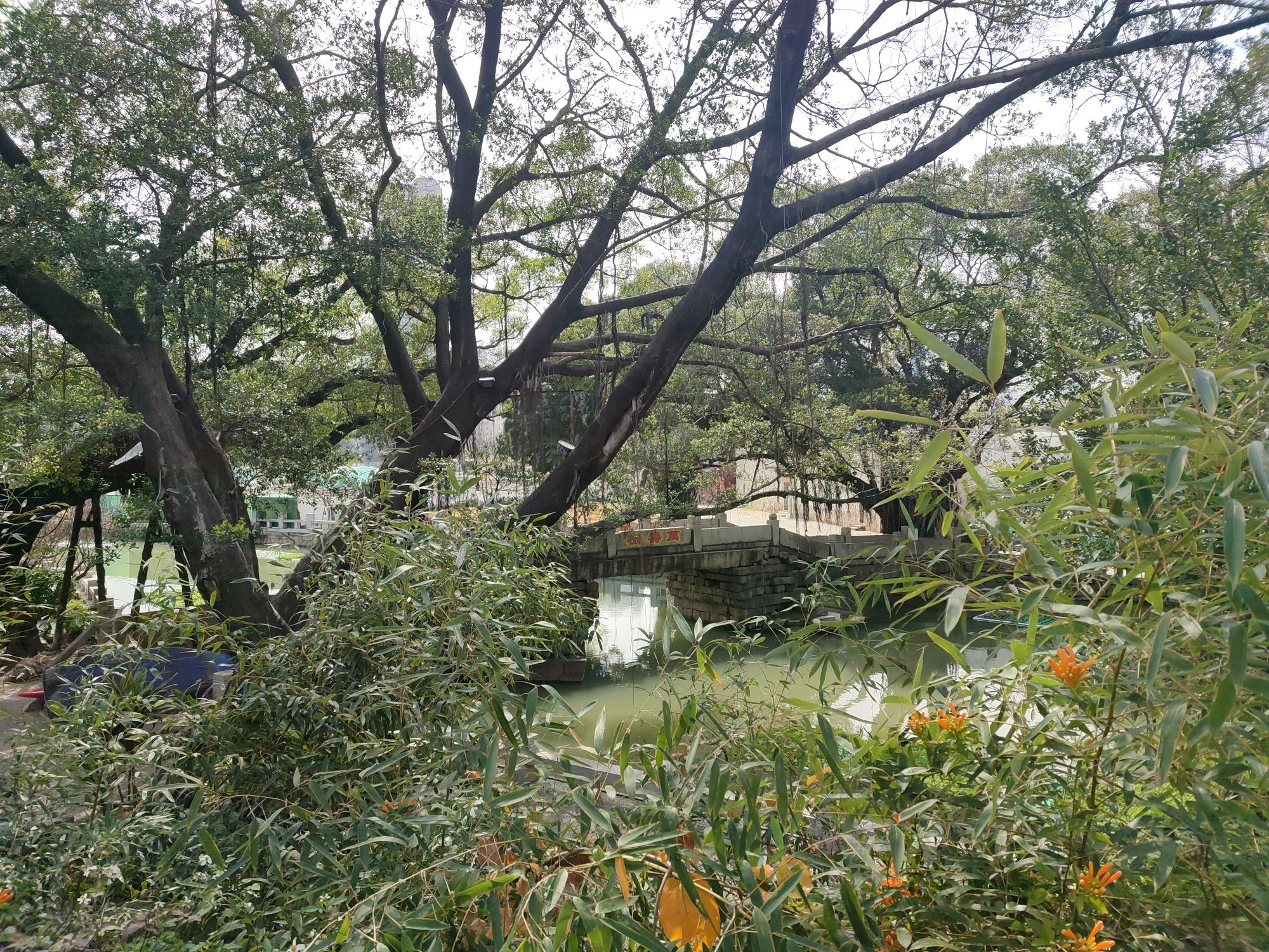 打铁港公园旅行图片 3