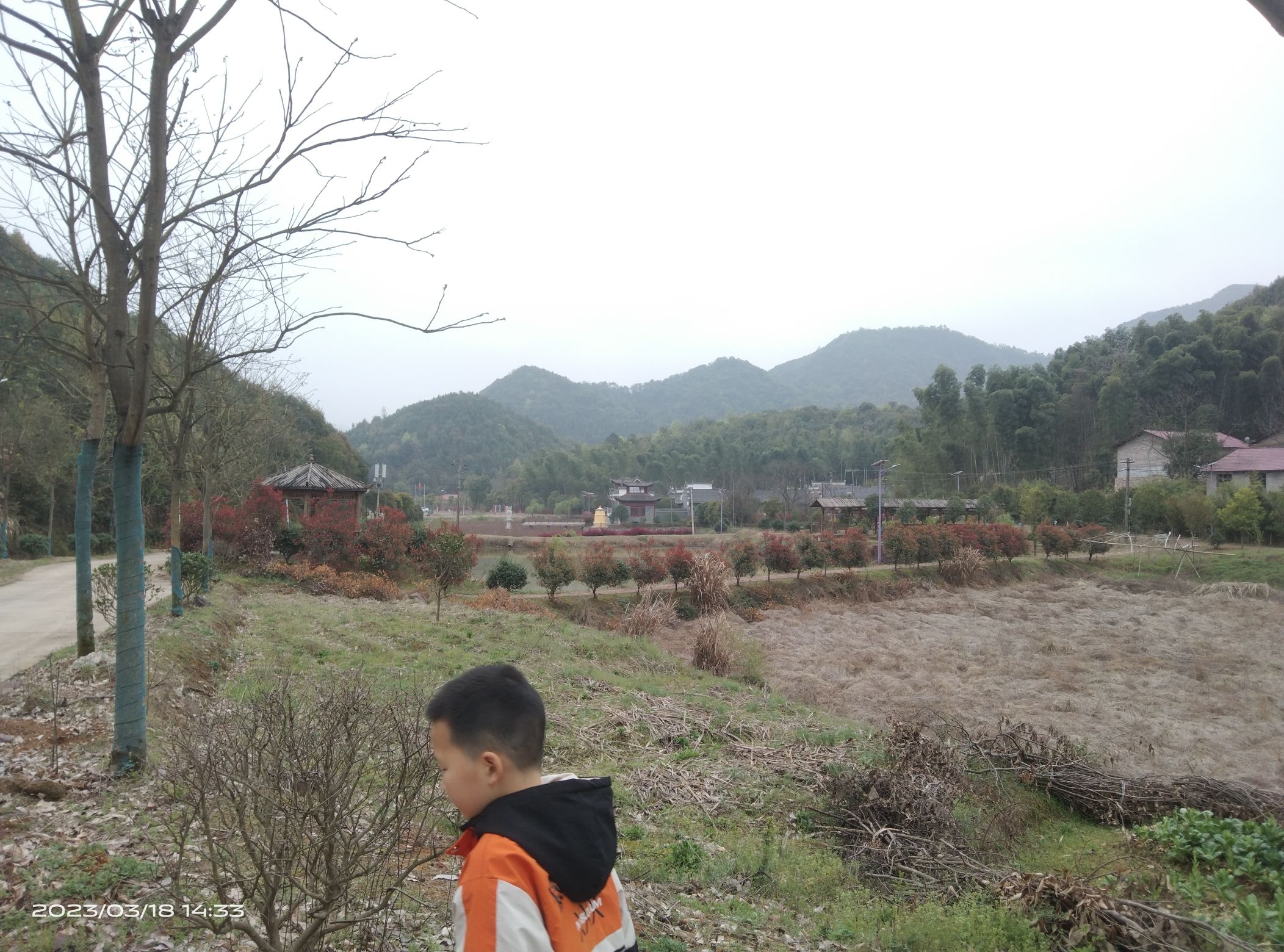 王桥清湖景区旅行图片 3
