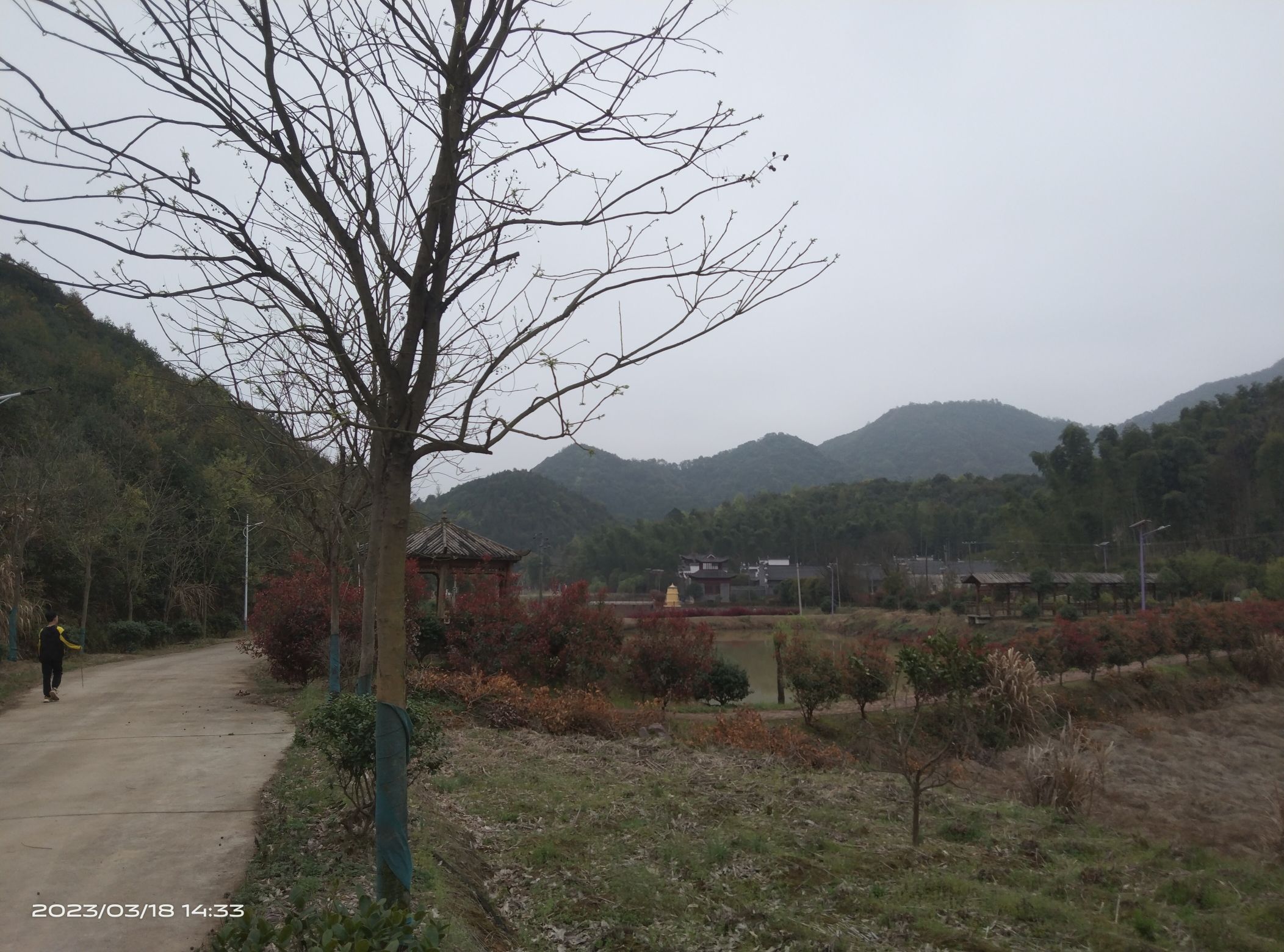 王桥清湖景区旅行图片 2