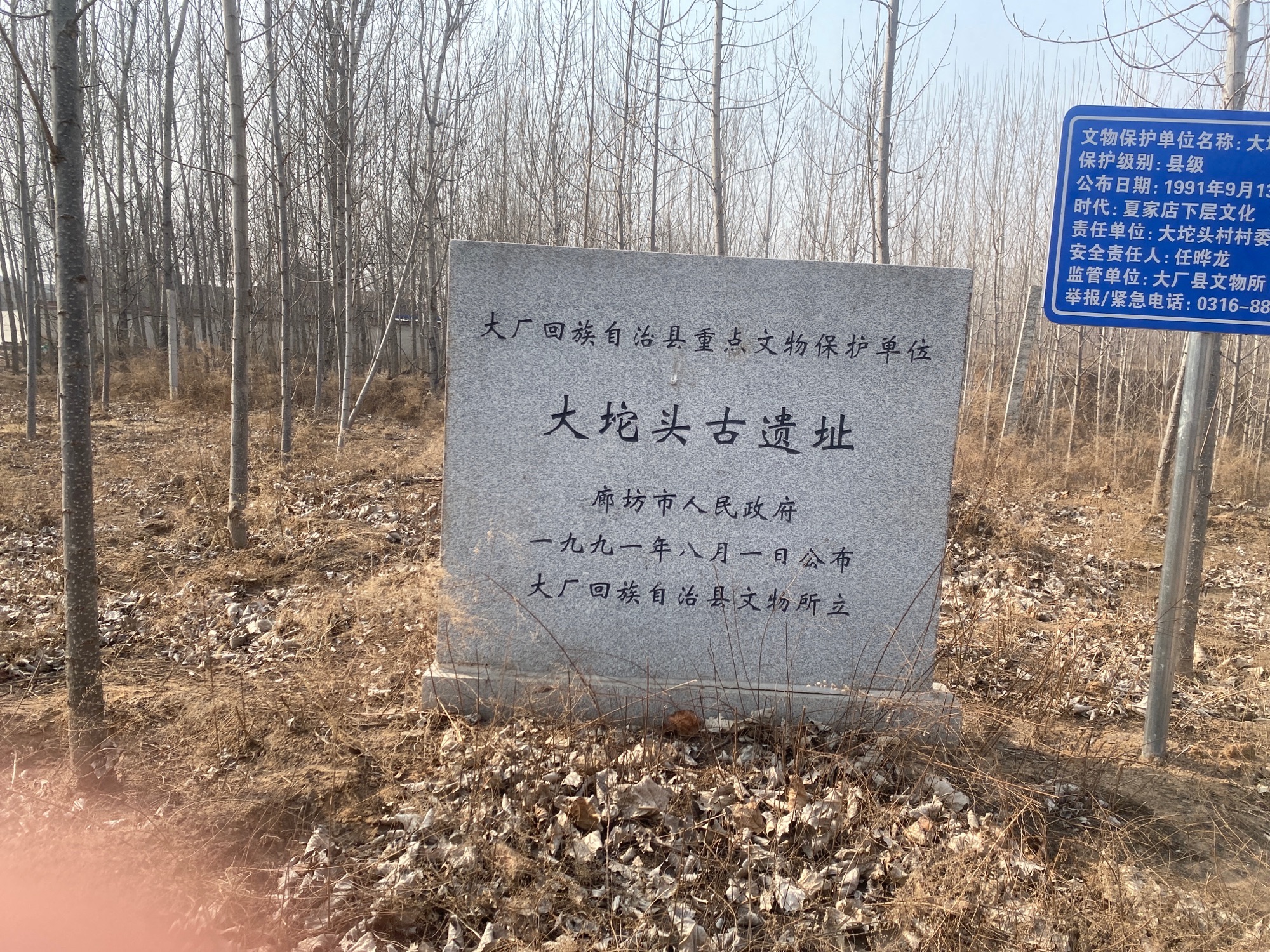 大坨头古遗址旅行图片 2