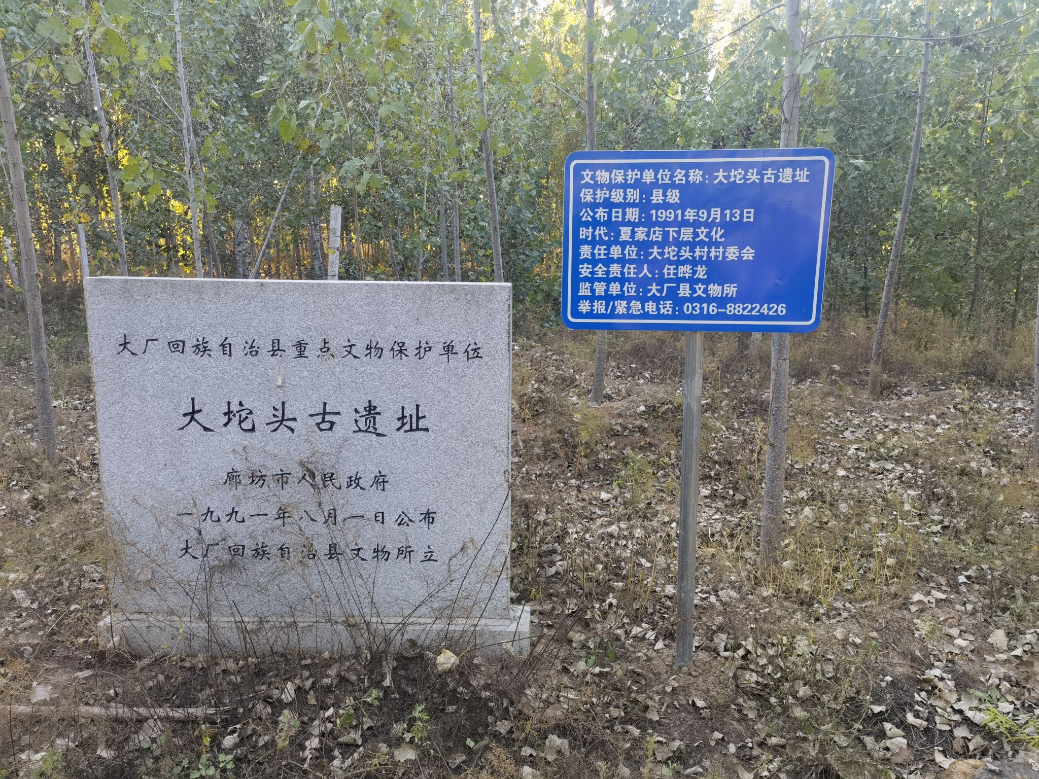 大坨头古遗址旅行图片 1
