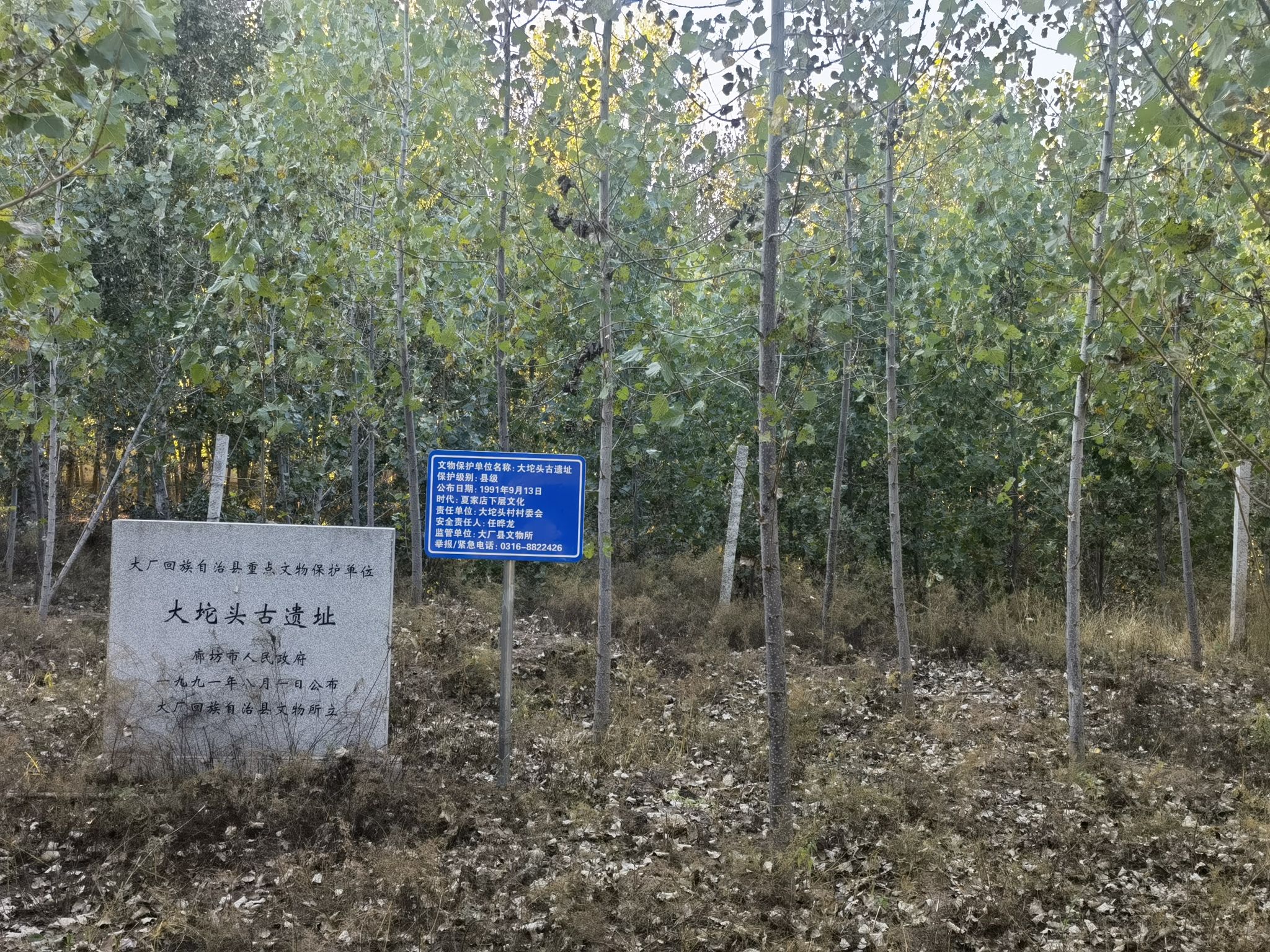 大坨头古遗址旅行图片 2