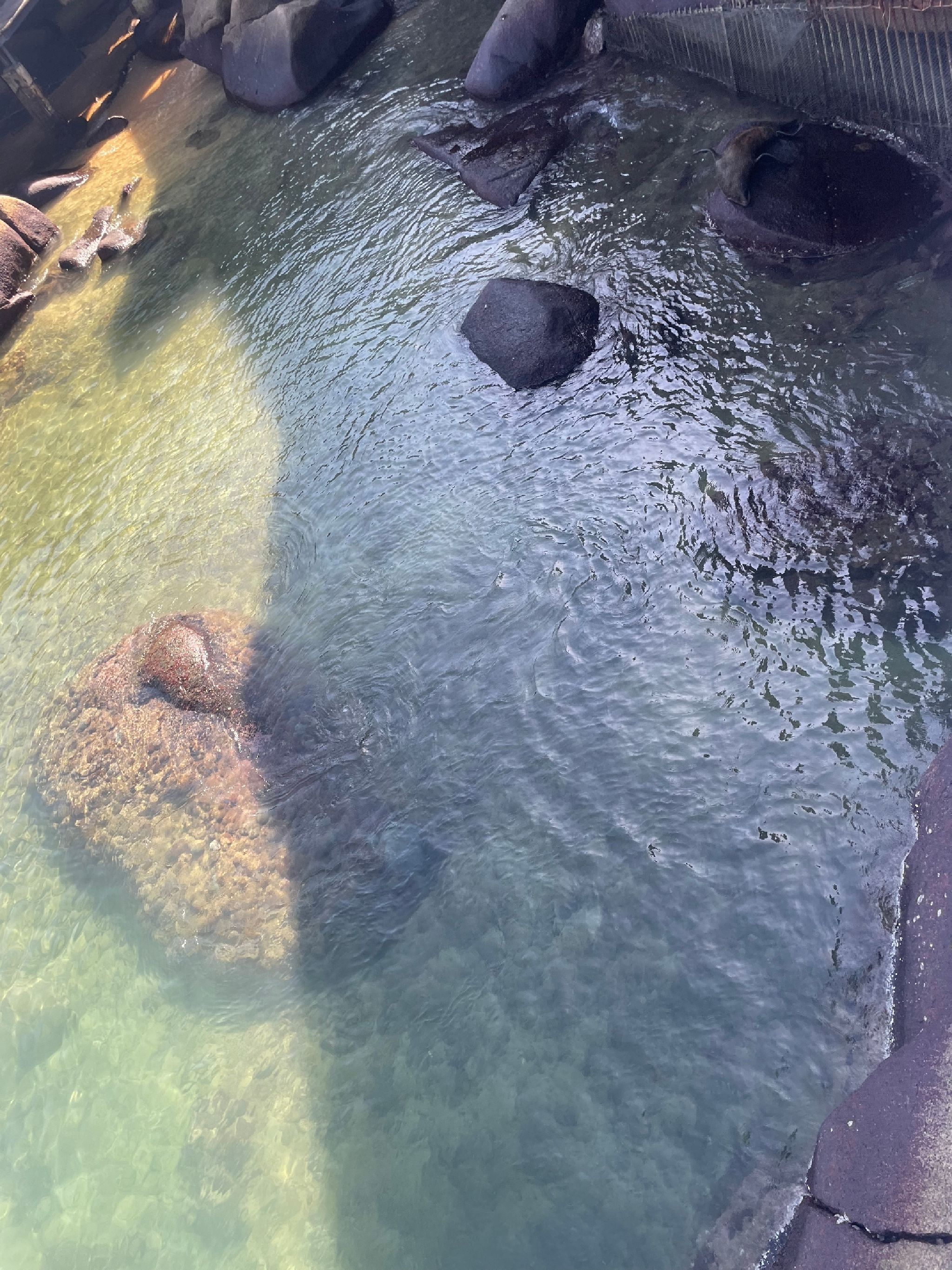 分界洲岛景区-海洋精灵馆