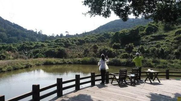 雷公山葡萄园旅游区旅行图片 1