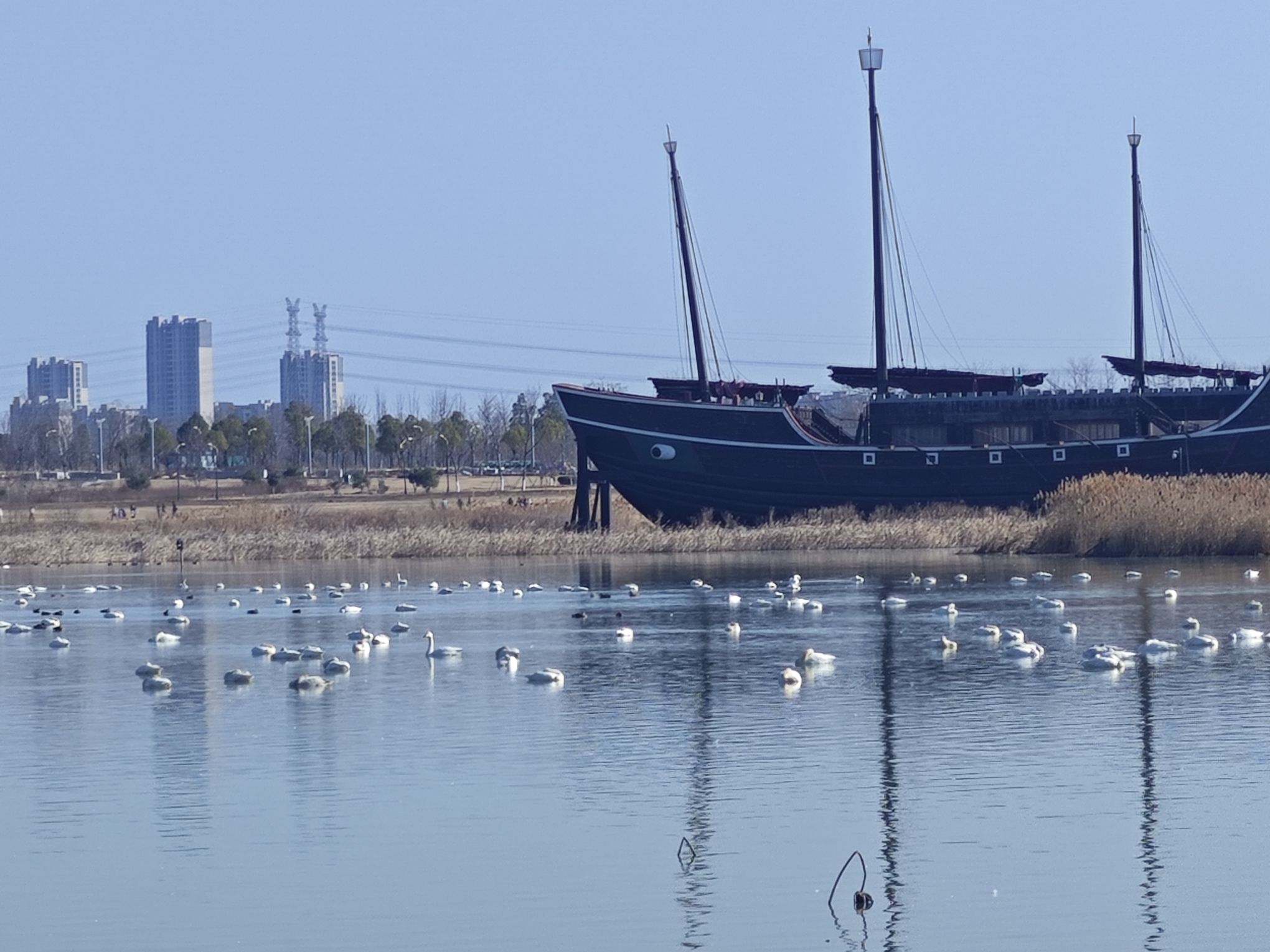 明湖公园景点图片