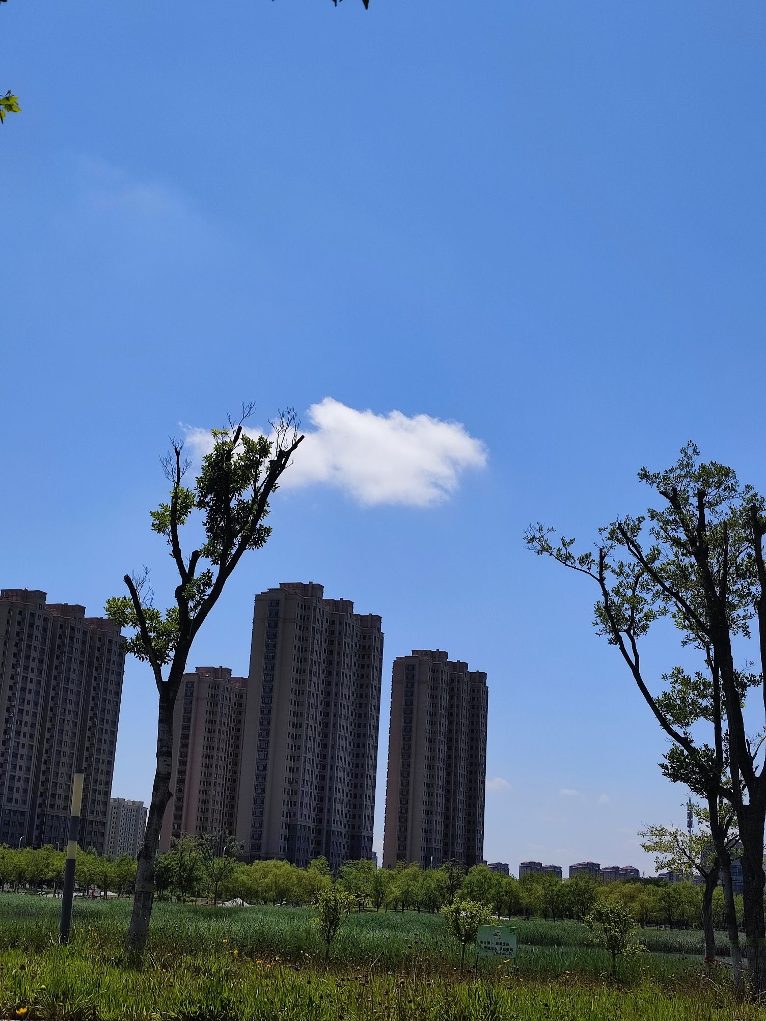 中央公园旅行图片 3