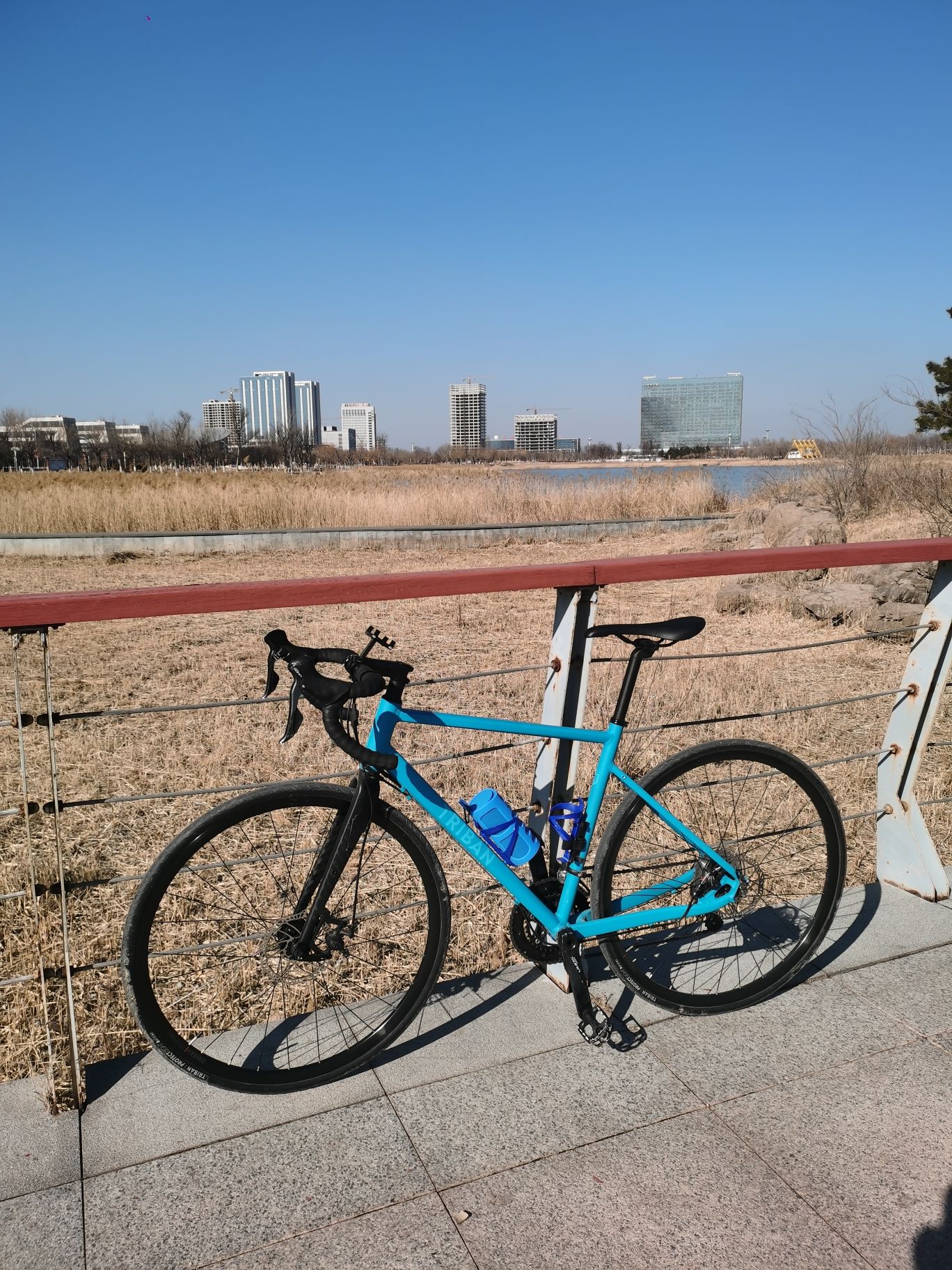 中央公园旅行图片 1