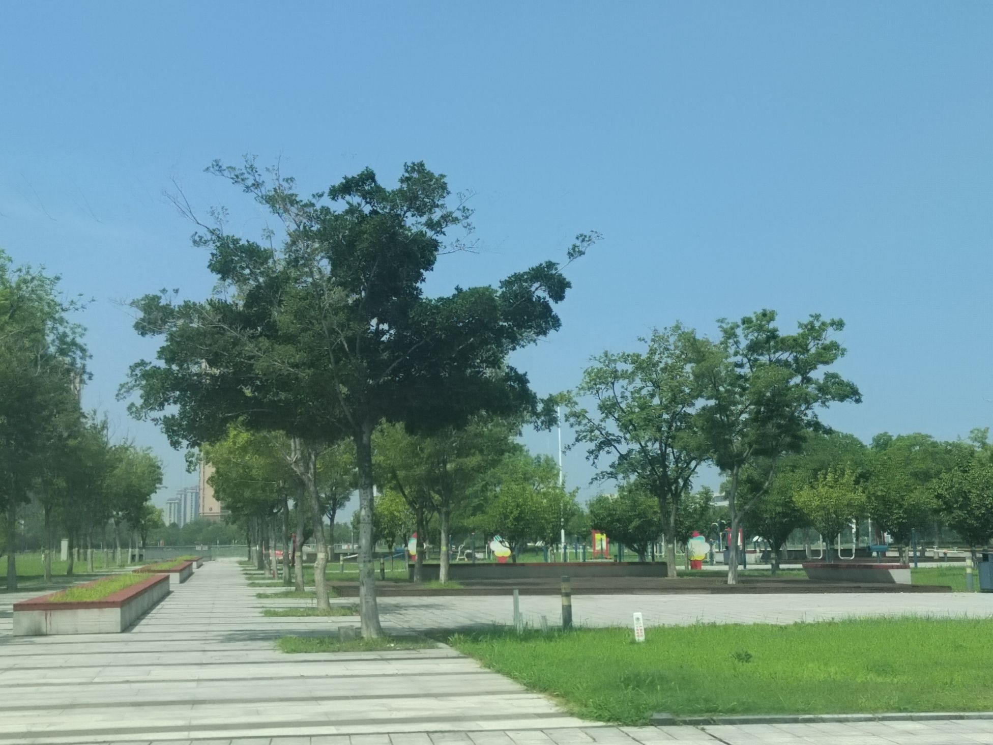 中央公园旅行图片 3