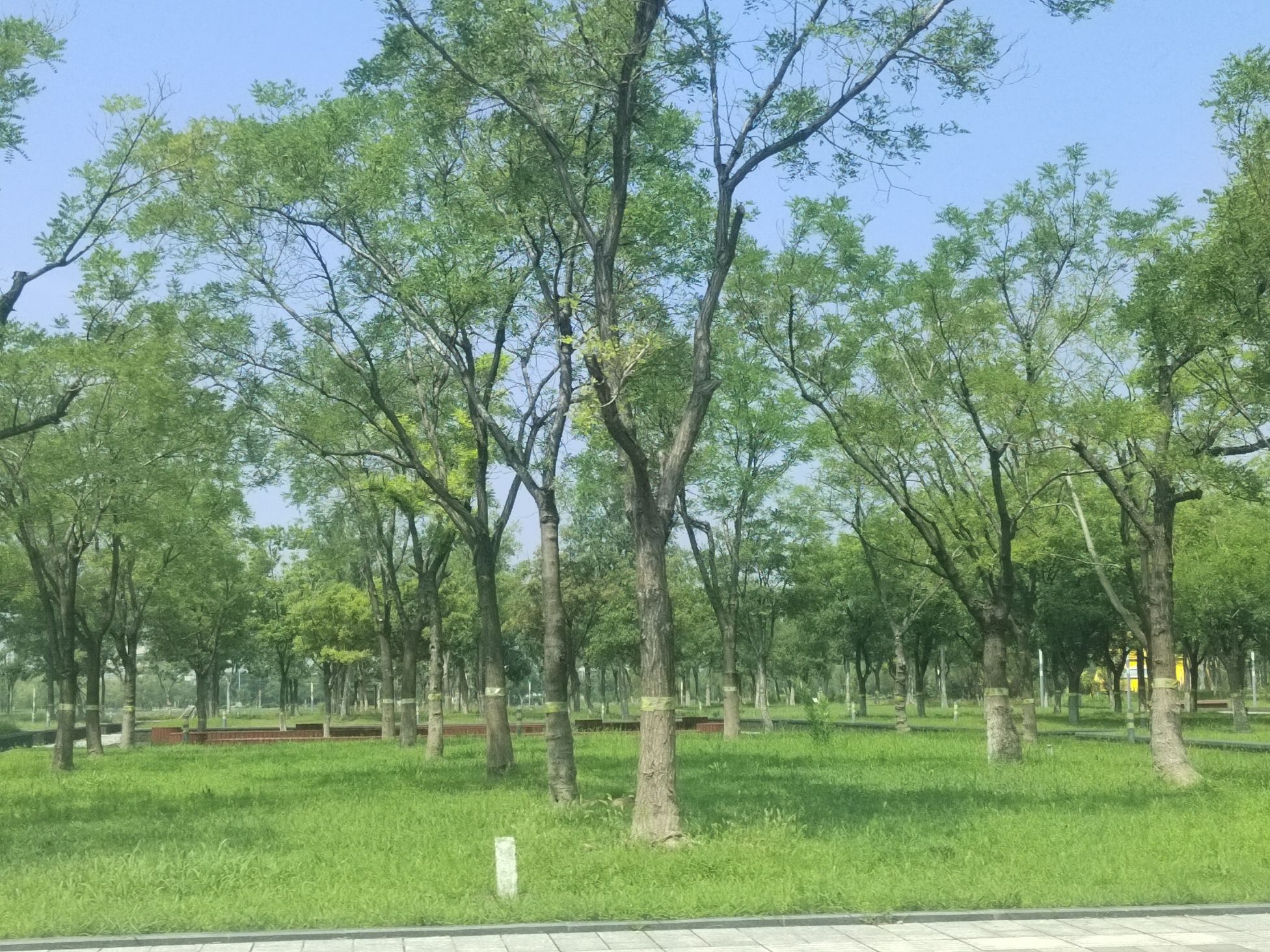 中央公园旅行图片 2