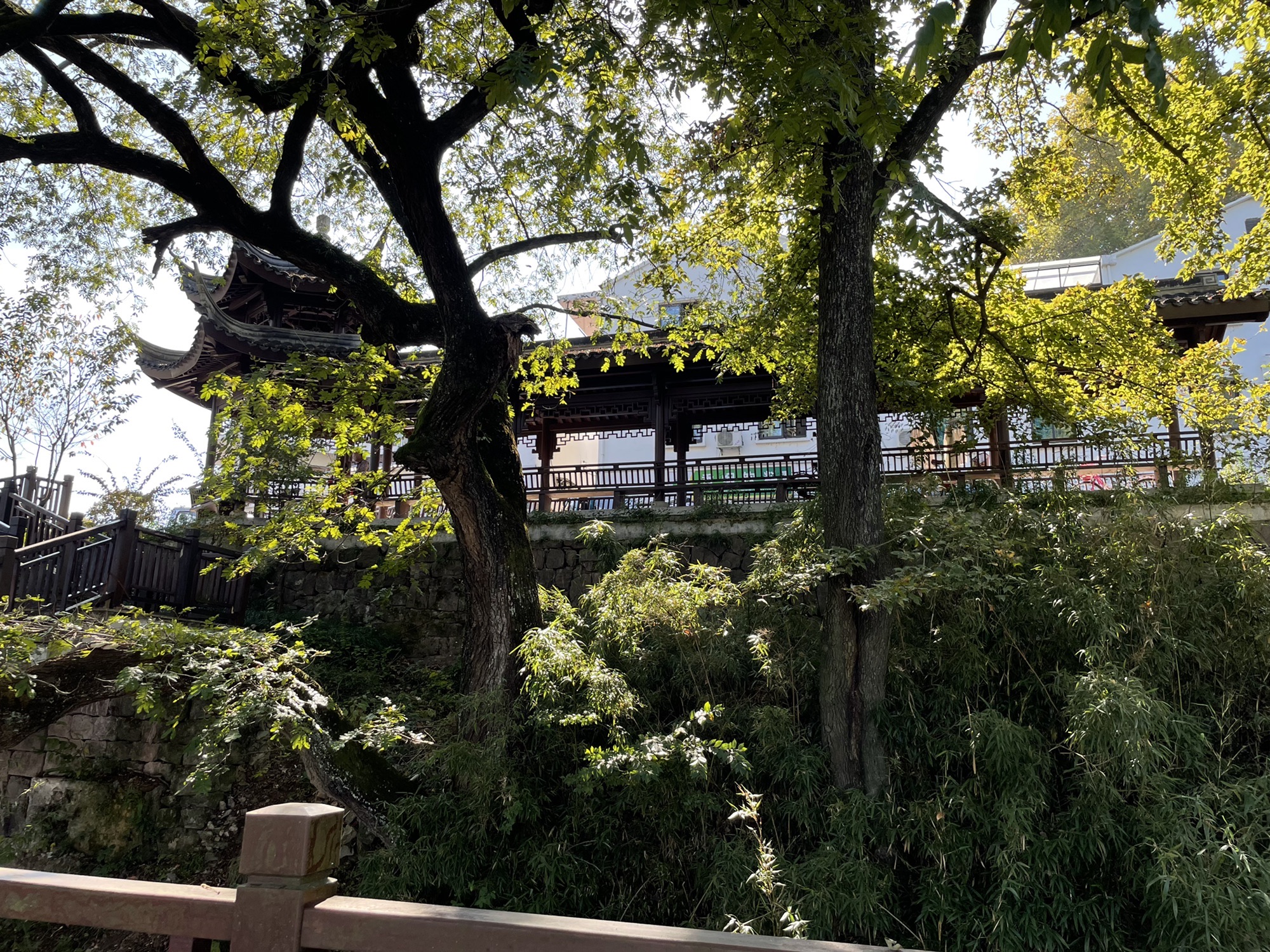 镜岭旅游风情小镇旅行图片 3