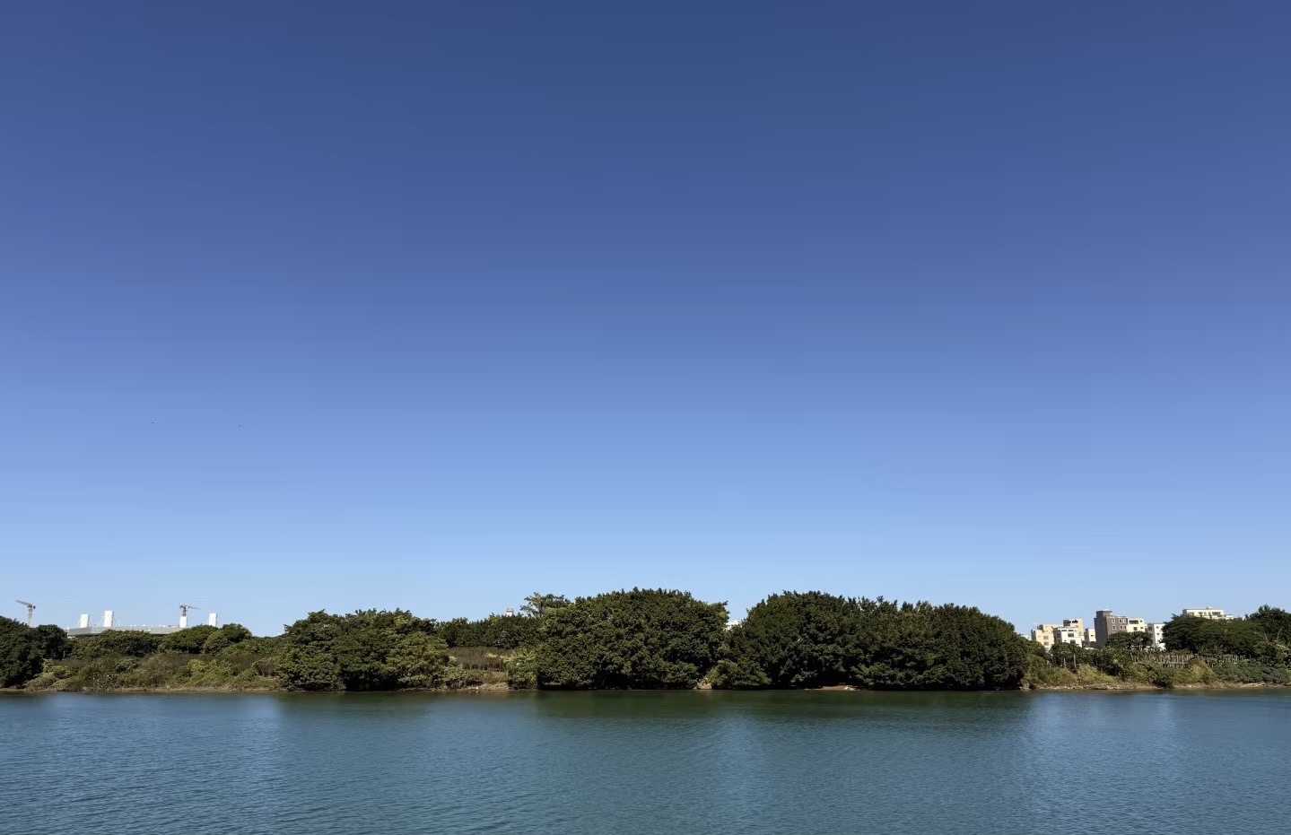 康养绿岸公园旅行图片 3