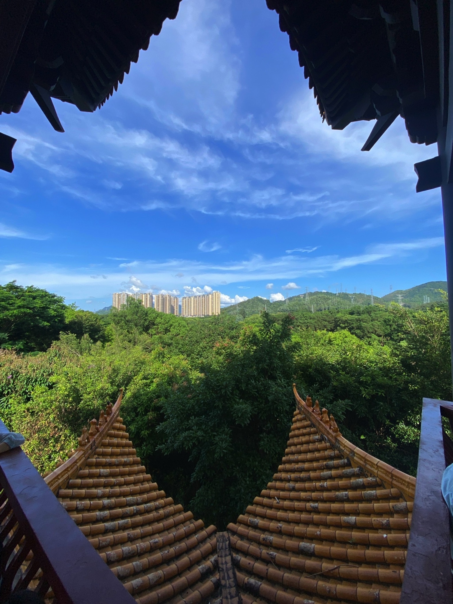 湖心亭旅行图片 2
