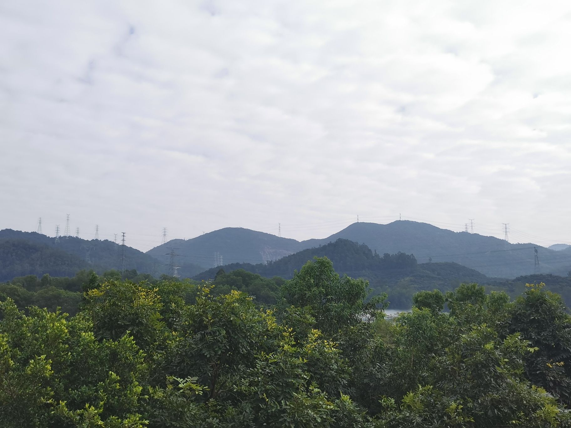 湖心亭旅行图片 1