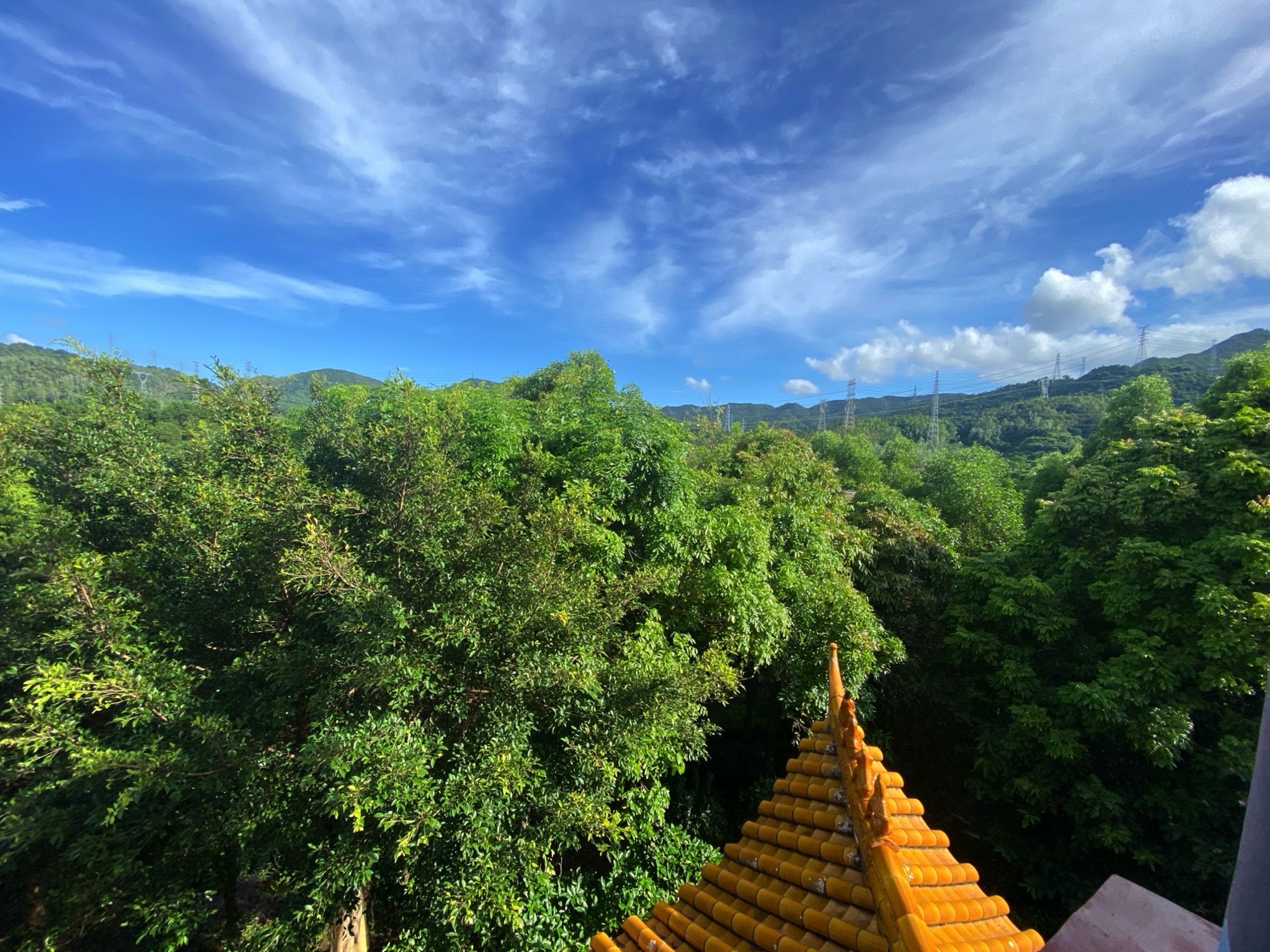 湖心亭旅行图片 3