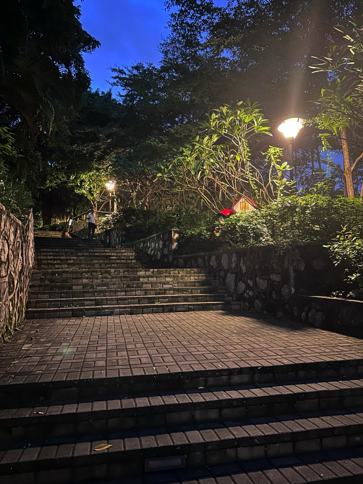 官田社区公园旅行图片 2