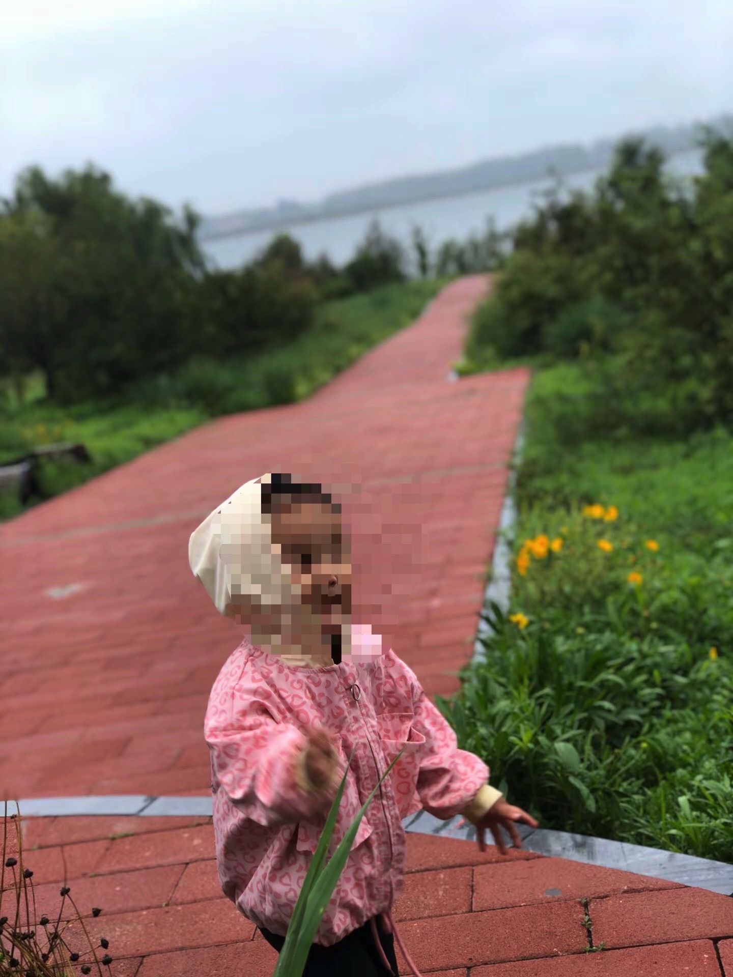 肃宁状元湖公园旅行图片 1