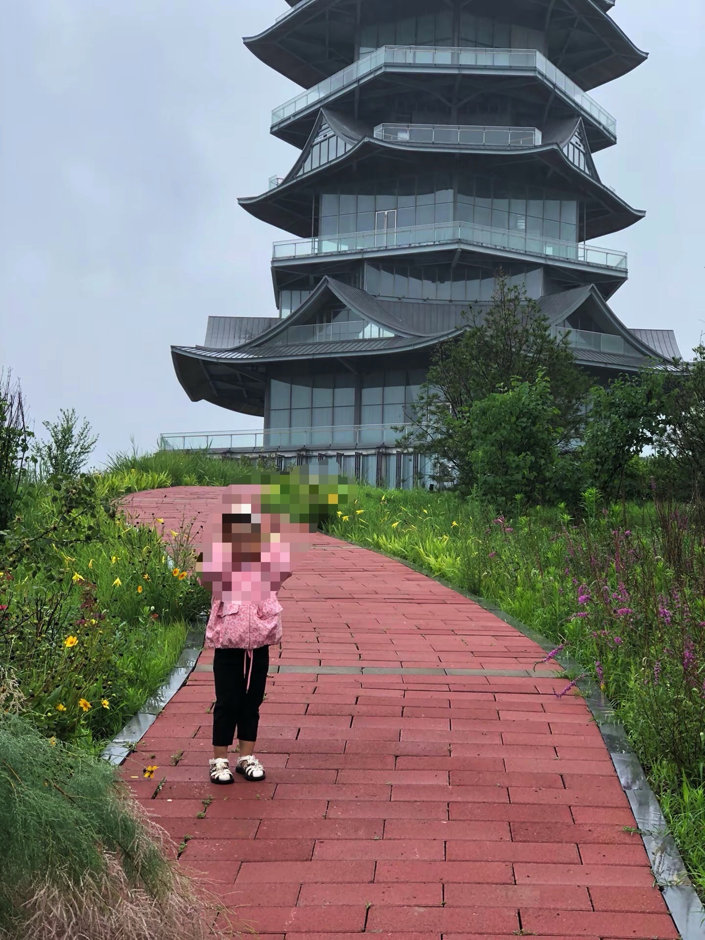 肃宁状元湖公园旅行图片 2