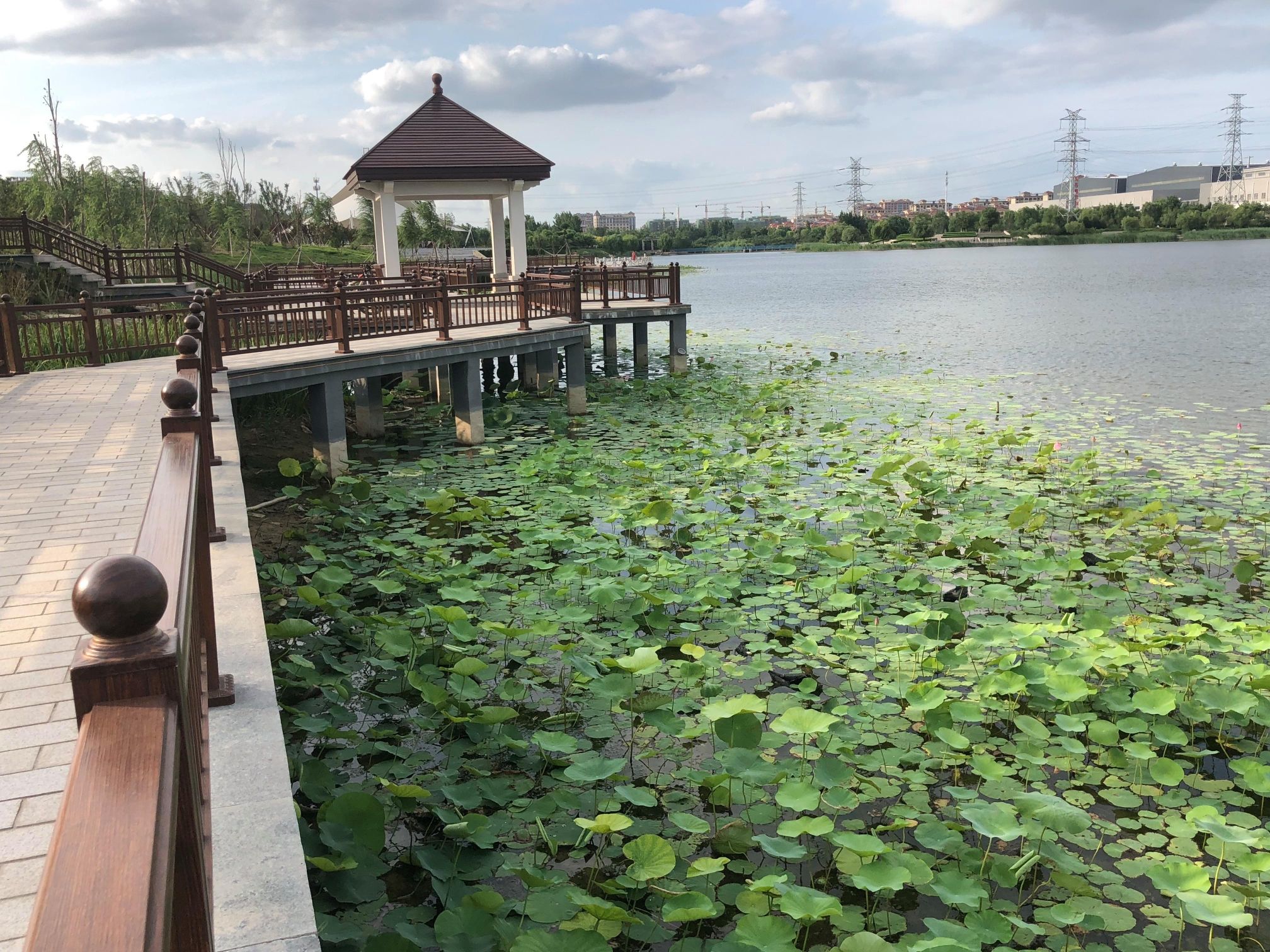 肃宁状元湖公园旅行图片 2