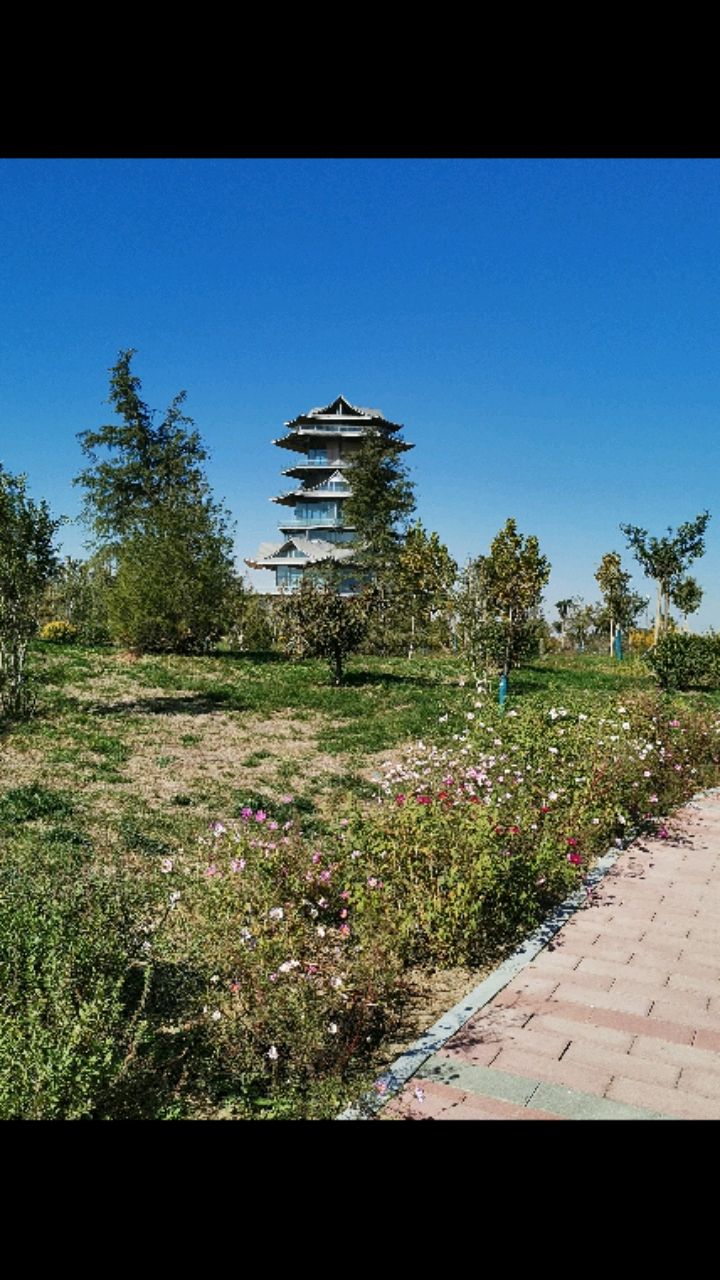 肃宁状元湖公园旅行图片 3