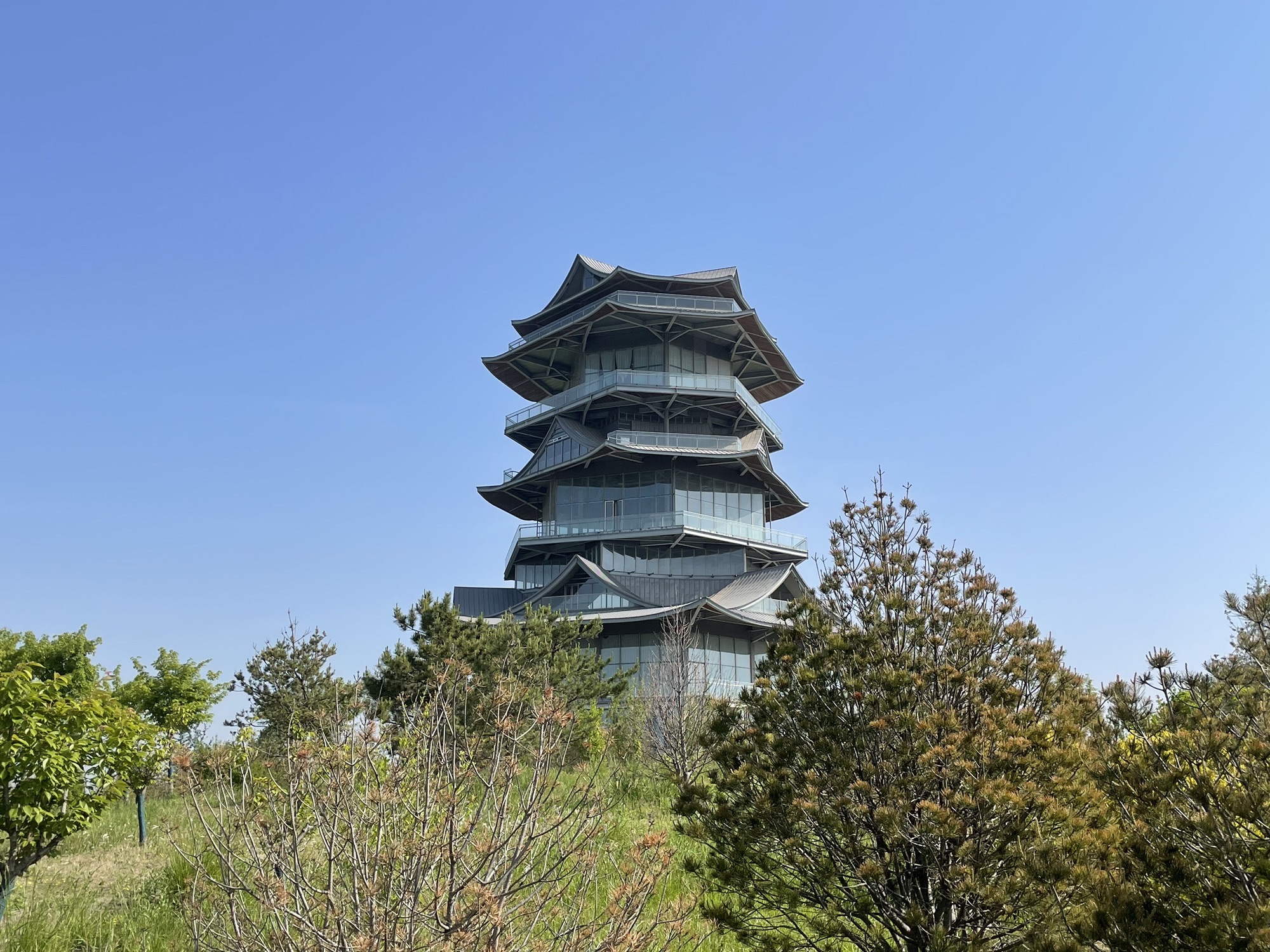 肃宁状元湖公园旅行图片 3