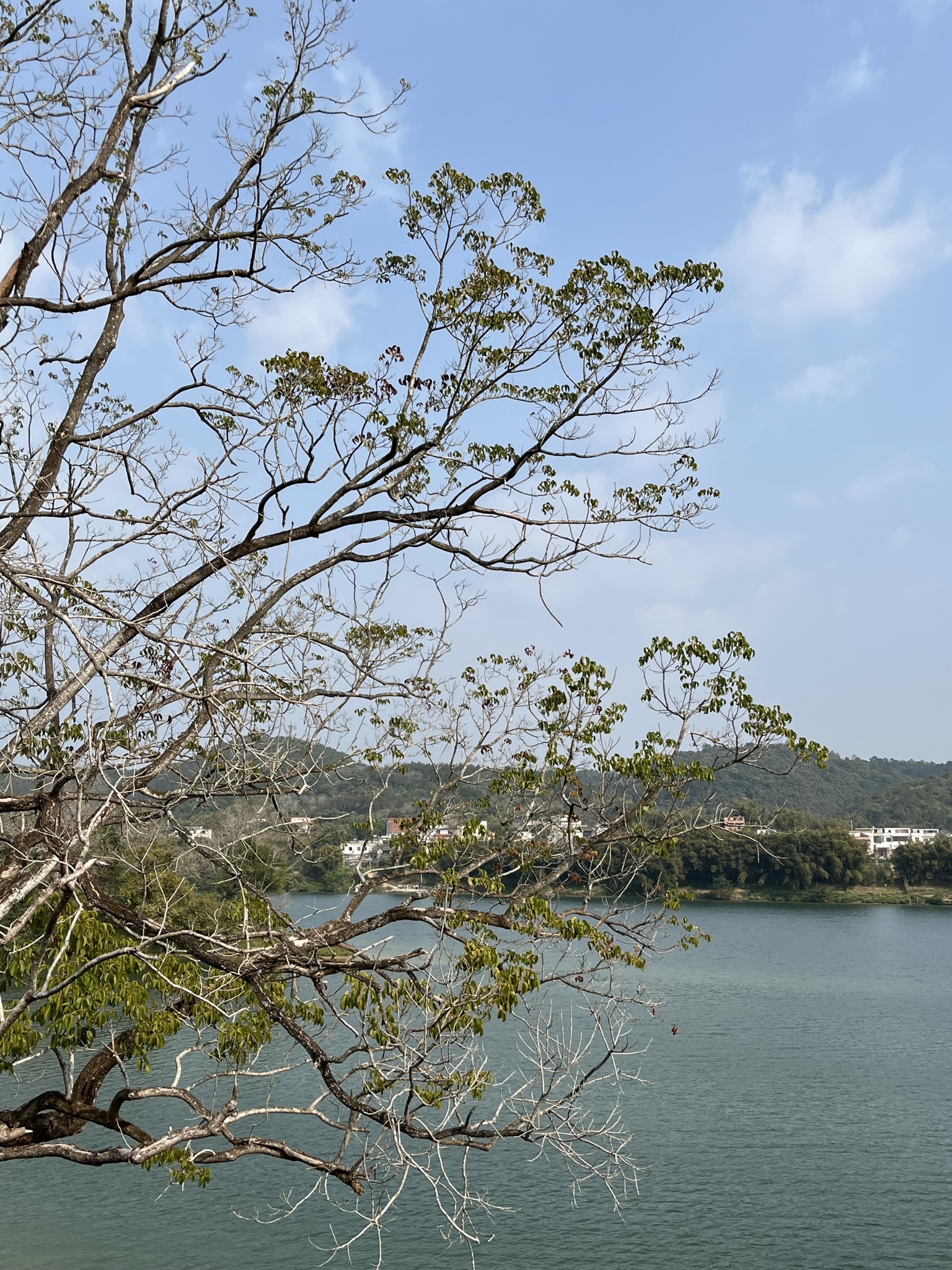龙皇岛古码头公园旅行图片 2