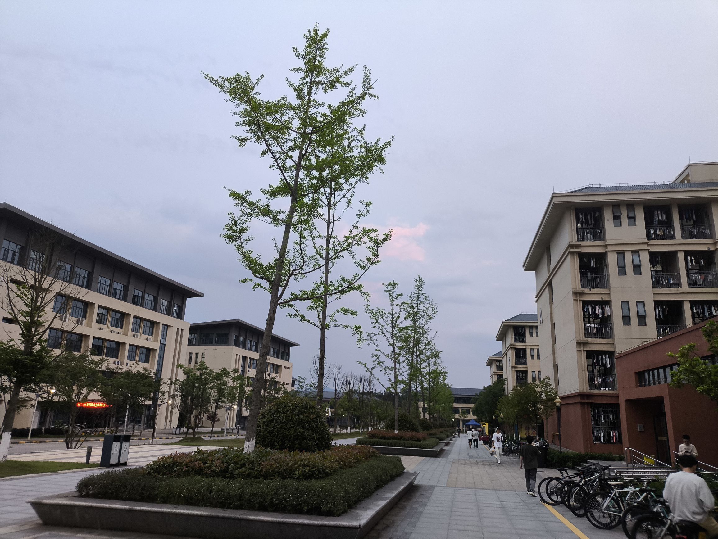 景德镇学院(浮梁校区)外国语学院