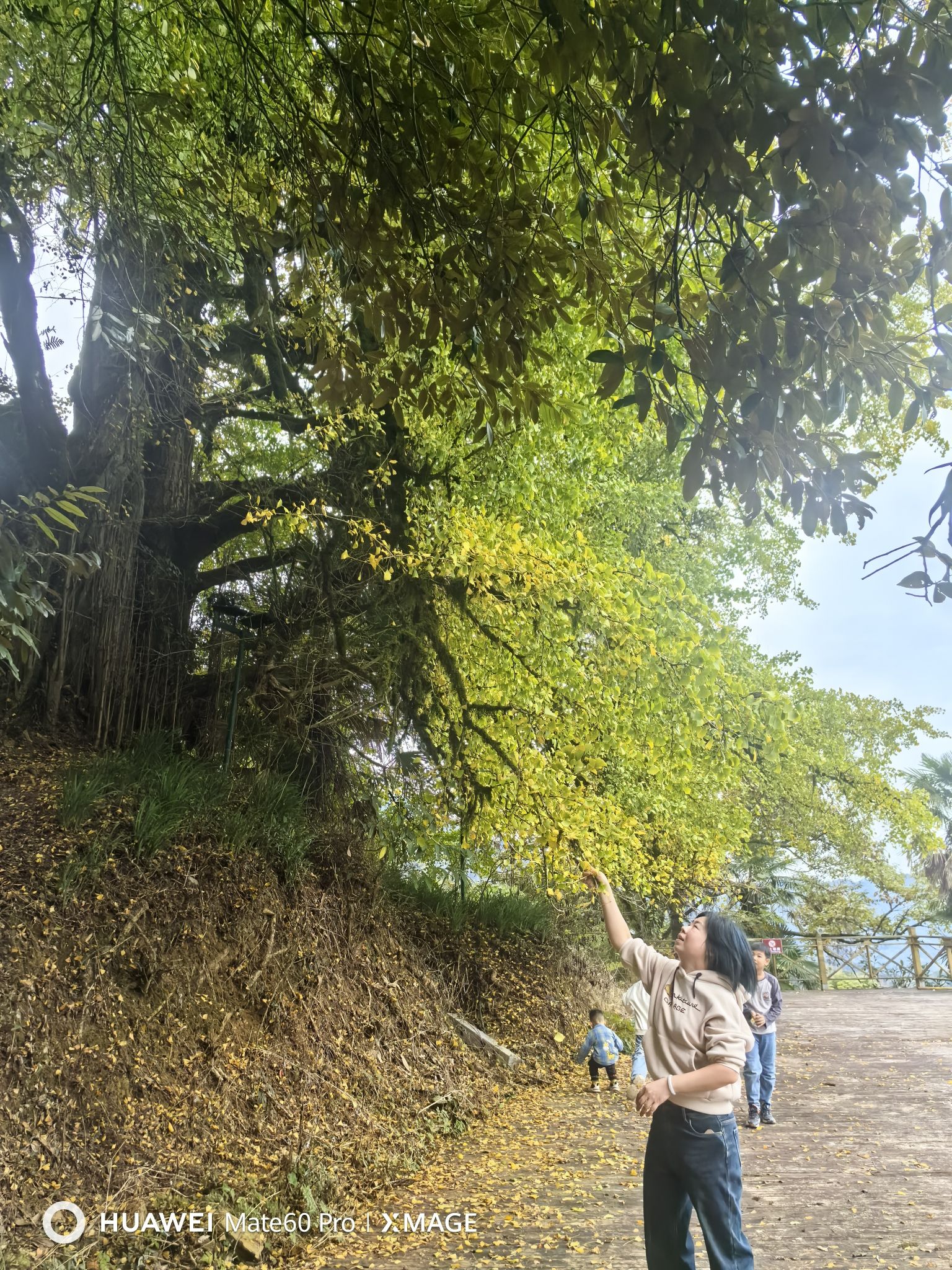 天台山风景区旅行图片 2
