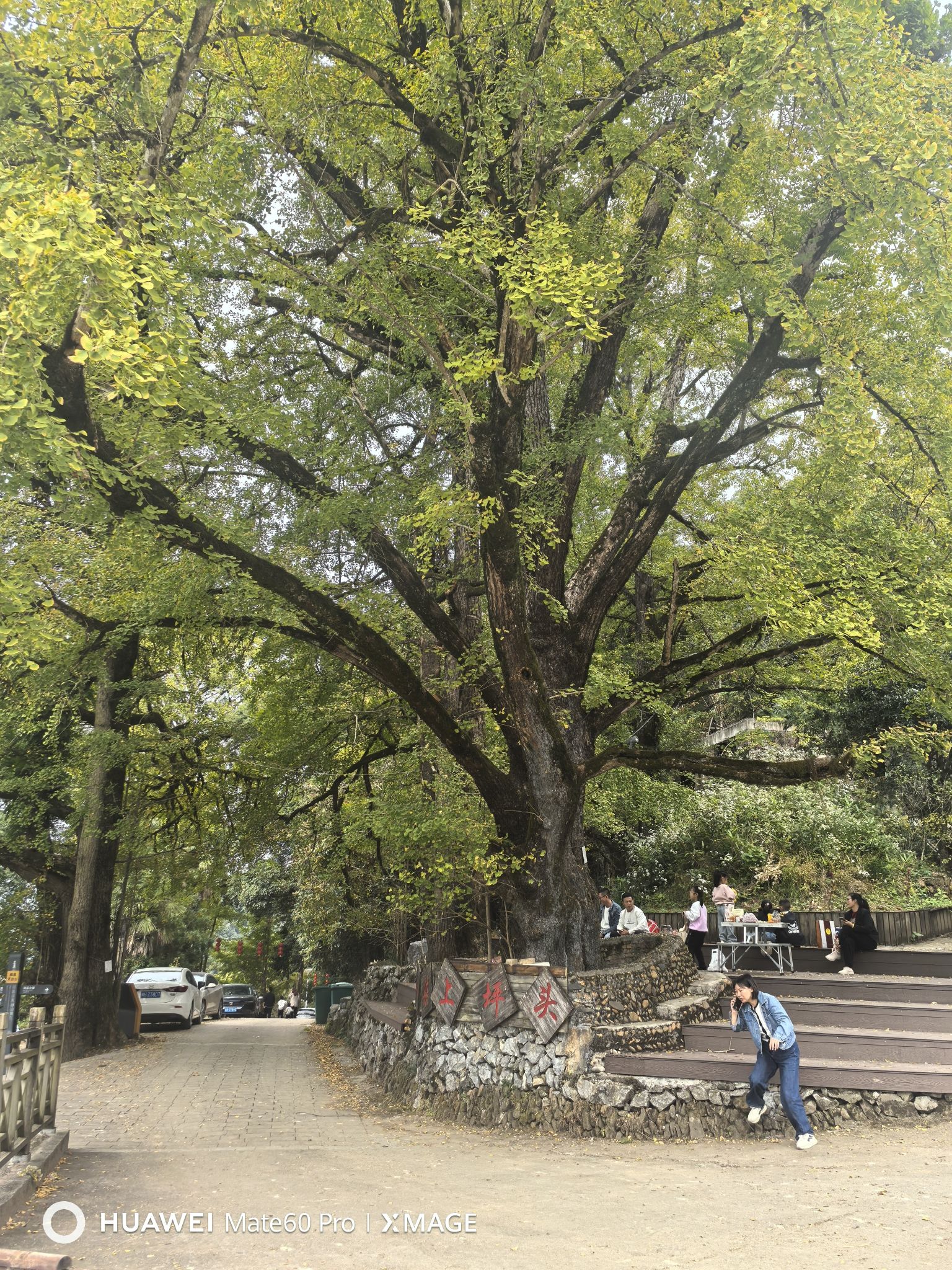 天台山风景区旅行图片