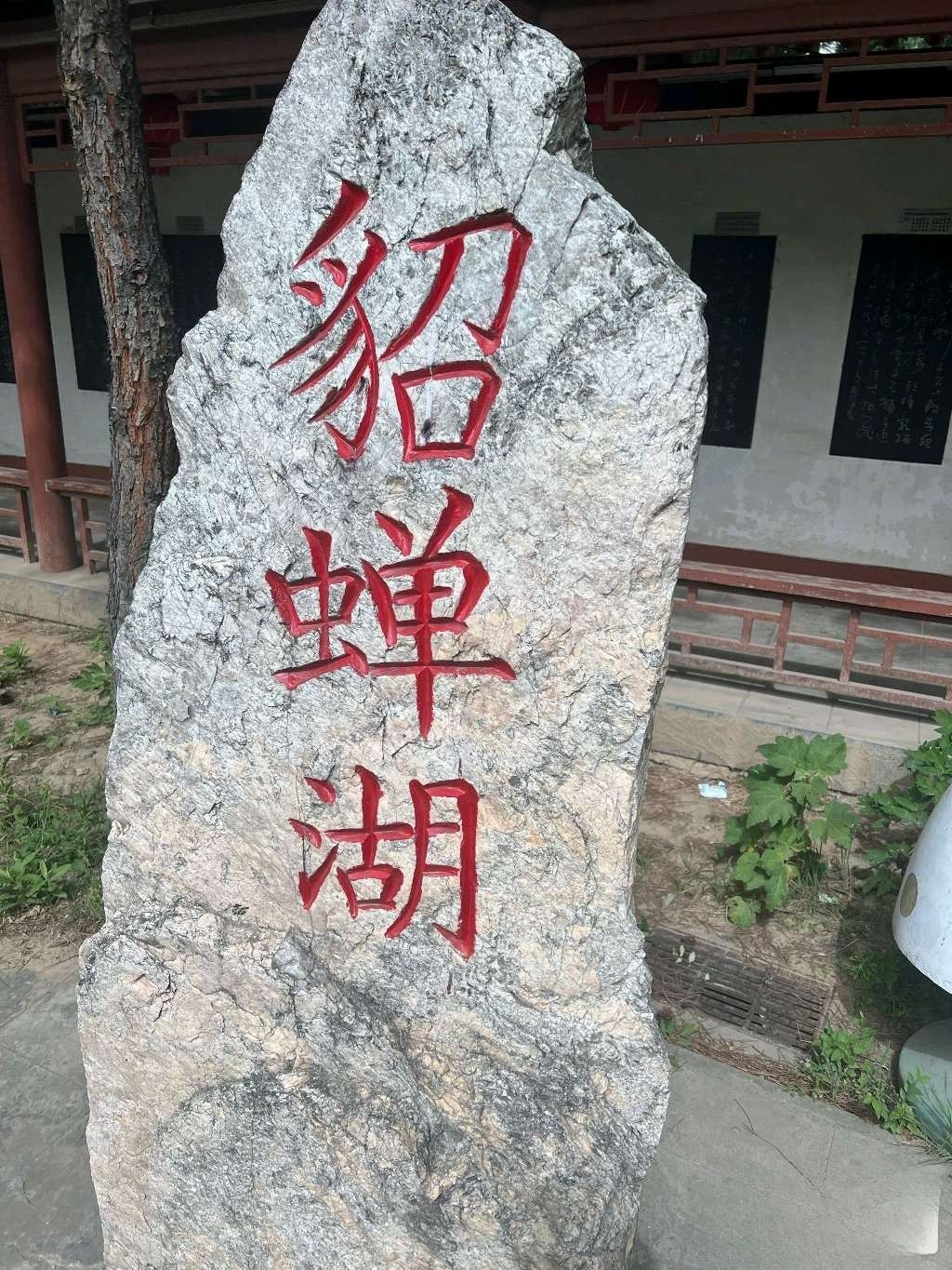 貂蝉故里旅行图片 3