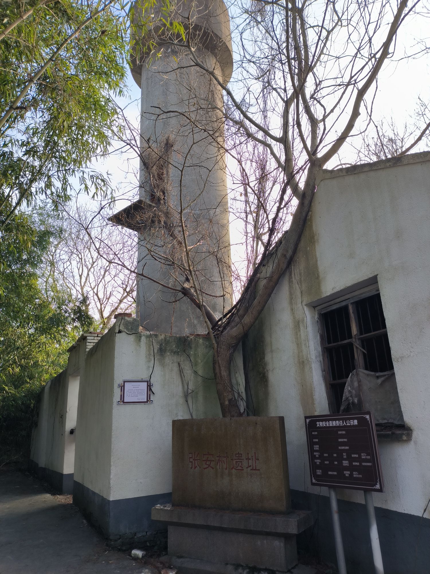 张安村遗址旅行图片 1
