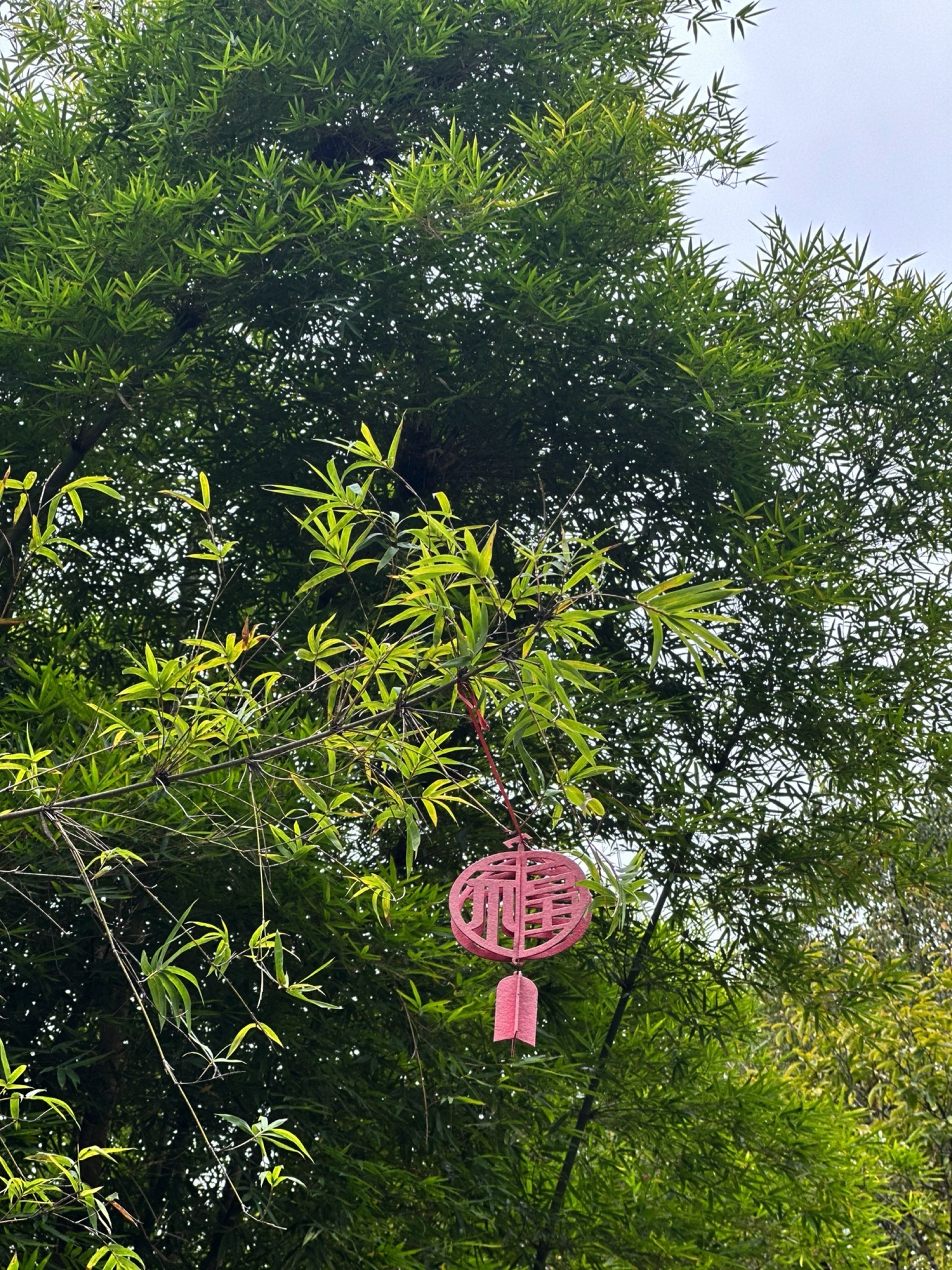 龙泉市体育公园旅行图片 3