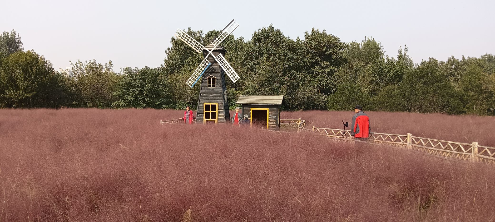 东三环环城公园旅行图片 1