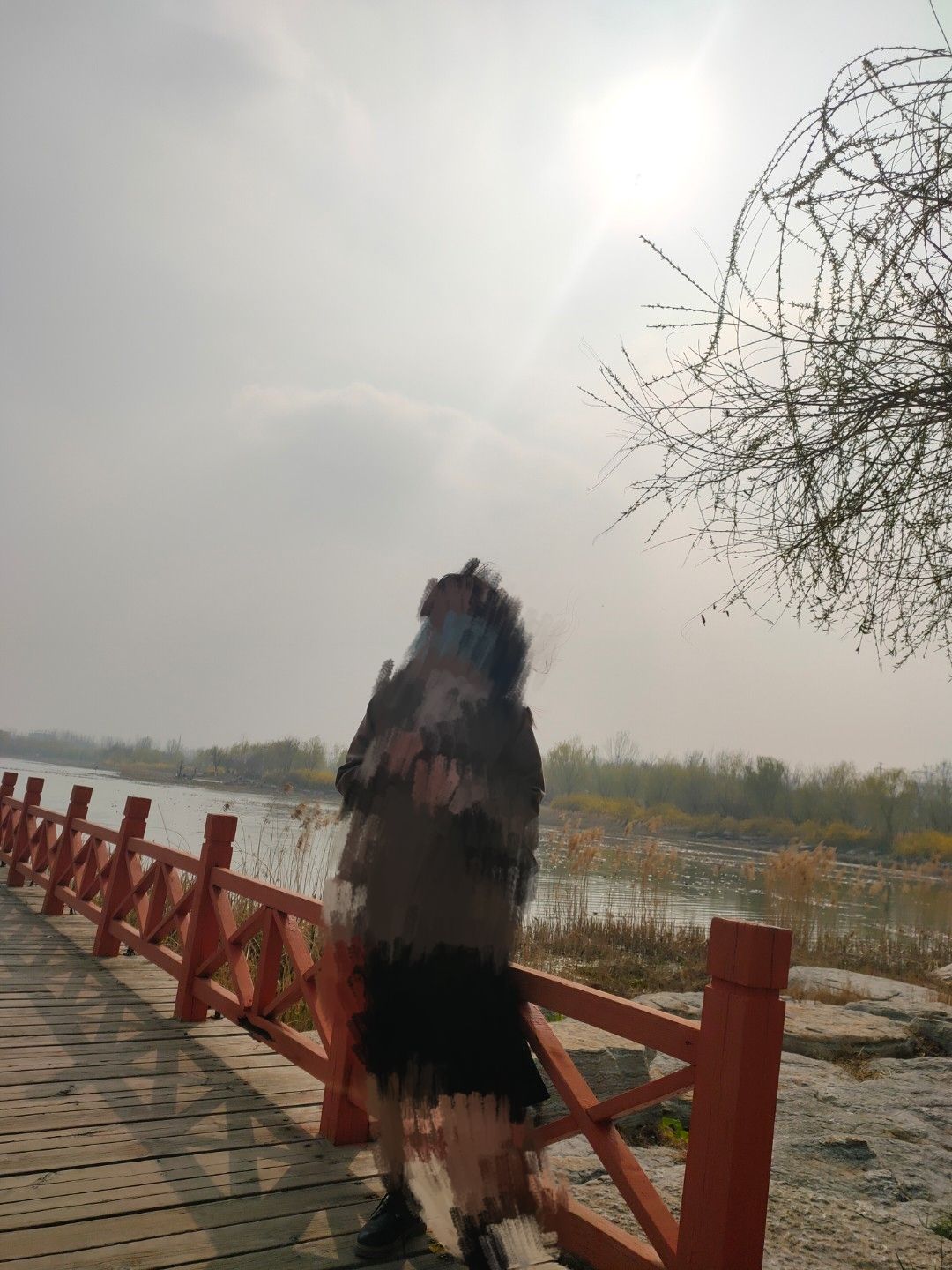 戴月景区旅行图片 3