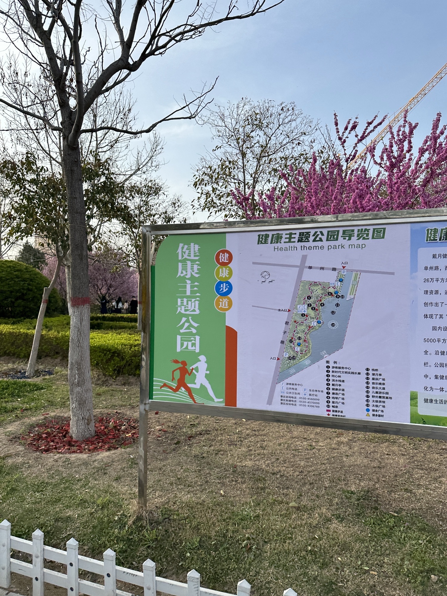 戴月景区旅行图片 2
