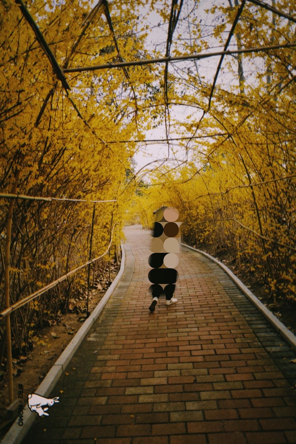 戴月景区旅行图片 1