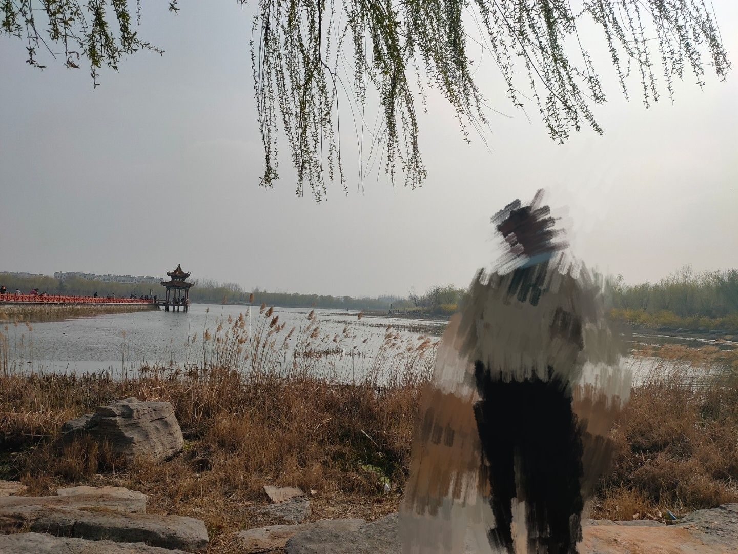 戴月景区旅行图片 2