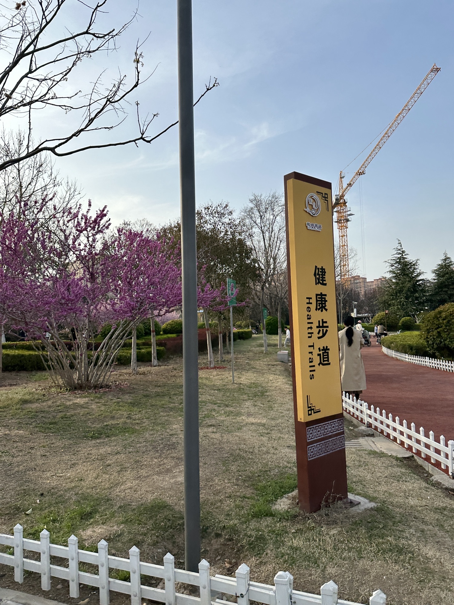 戴月景区旅行图片 3