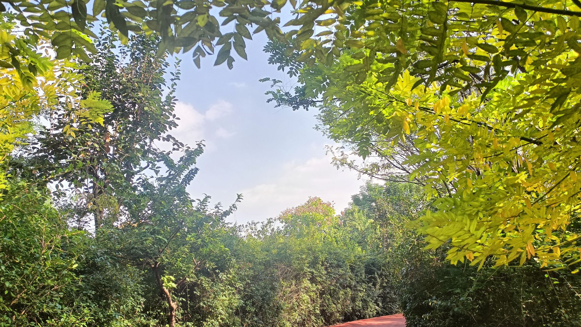 戴月景区旅行图片 3
