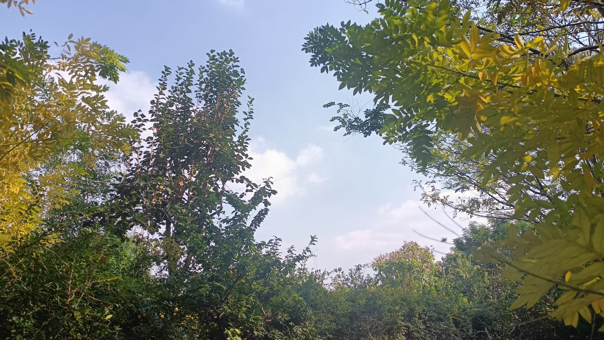 戴月景区旅行图片 2