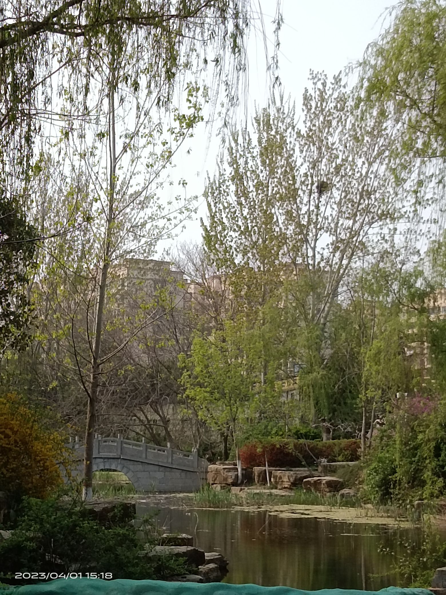 戴月景区旅行图片 1