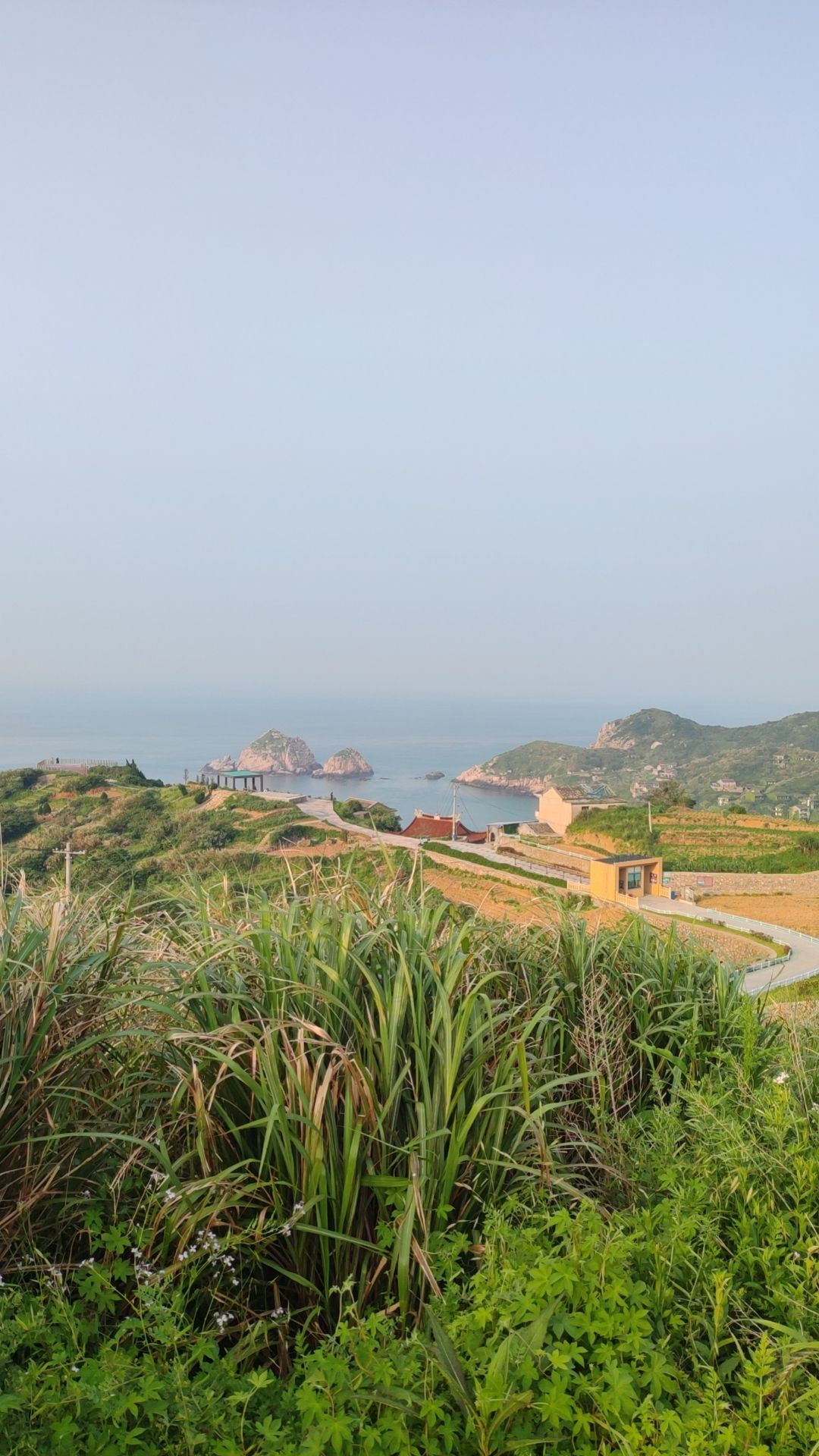 福善禅寺旅行图片 3