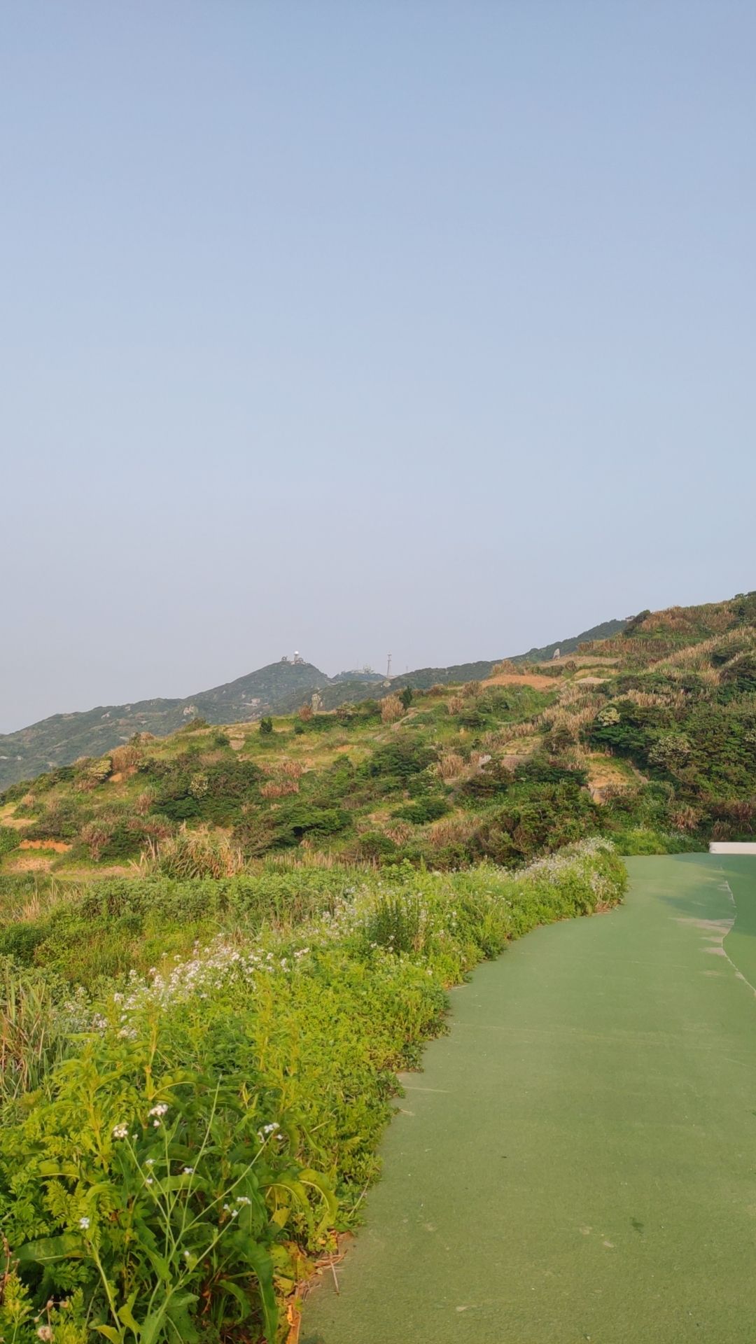 福善禅寺旅行图片 2
