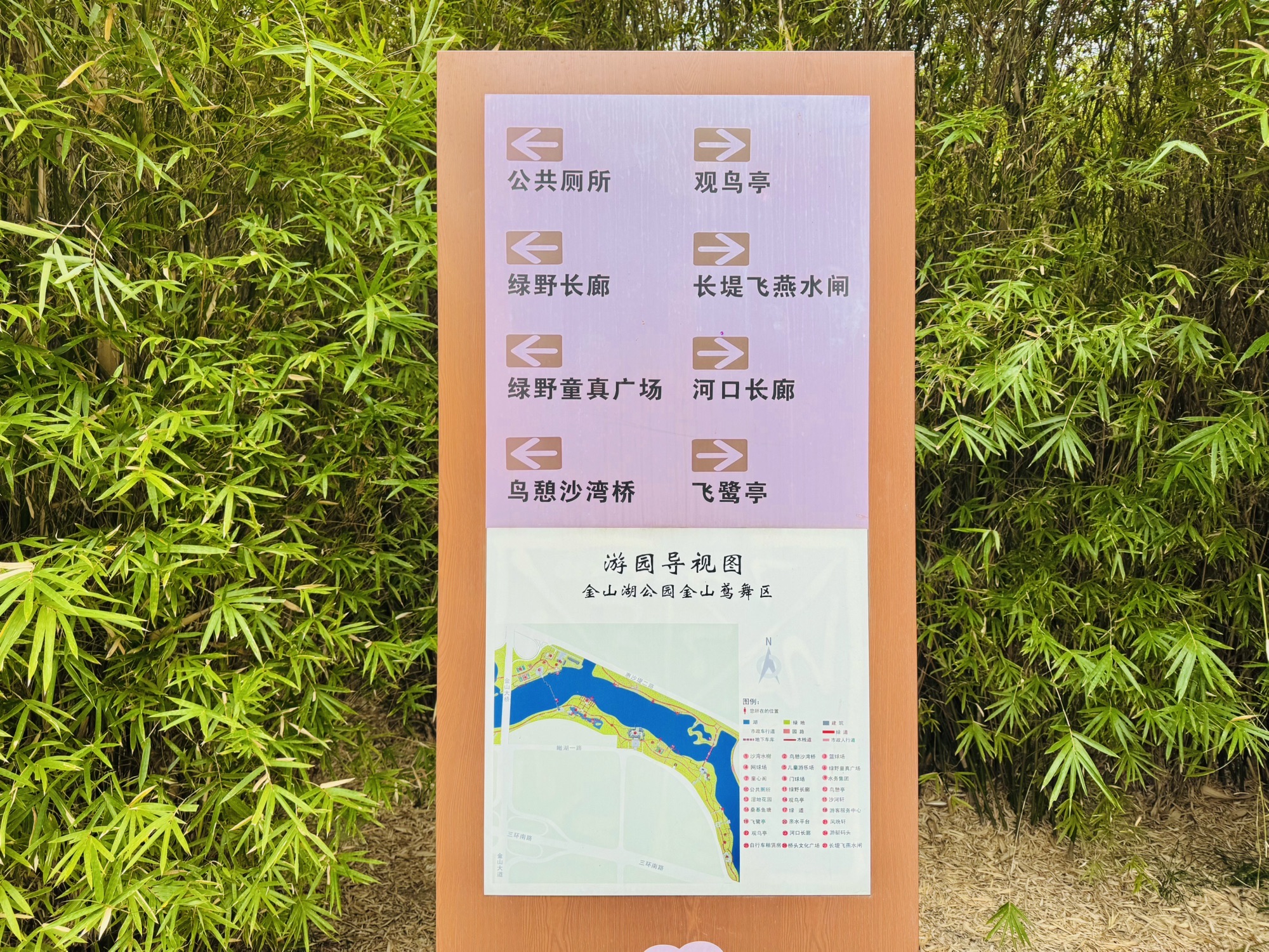 翠竹植物园旅行图片 3