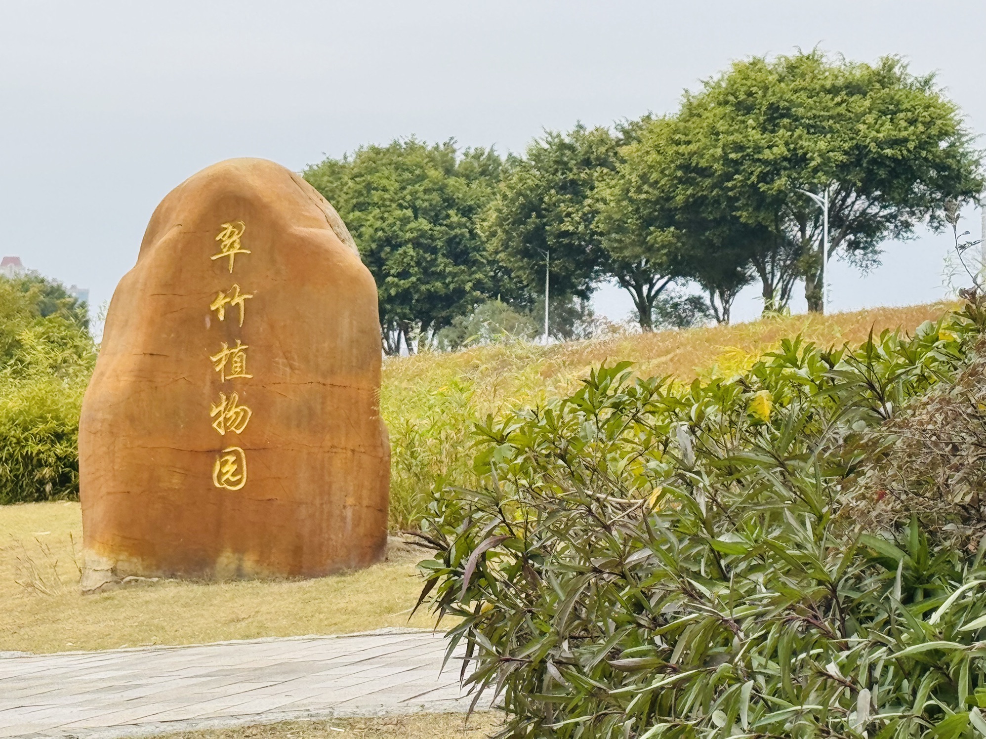 翠竹植物园旅行图片 1