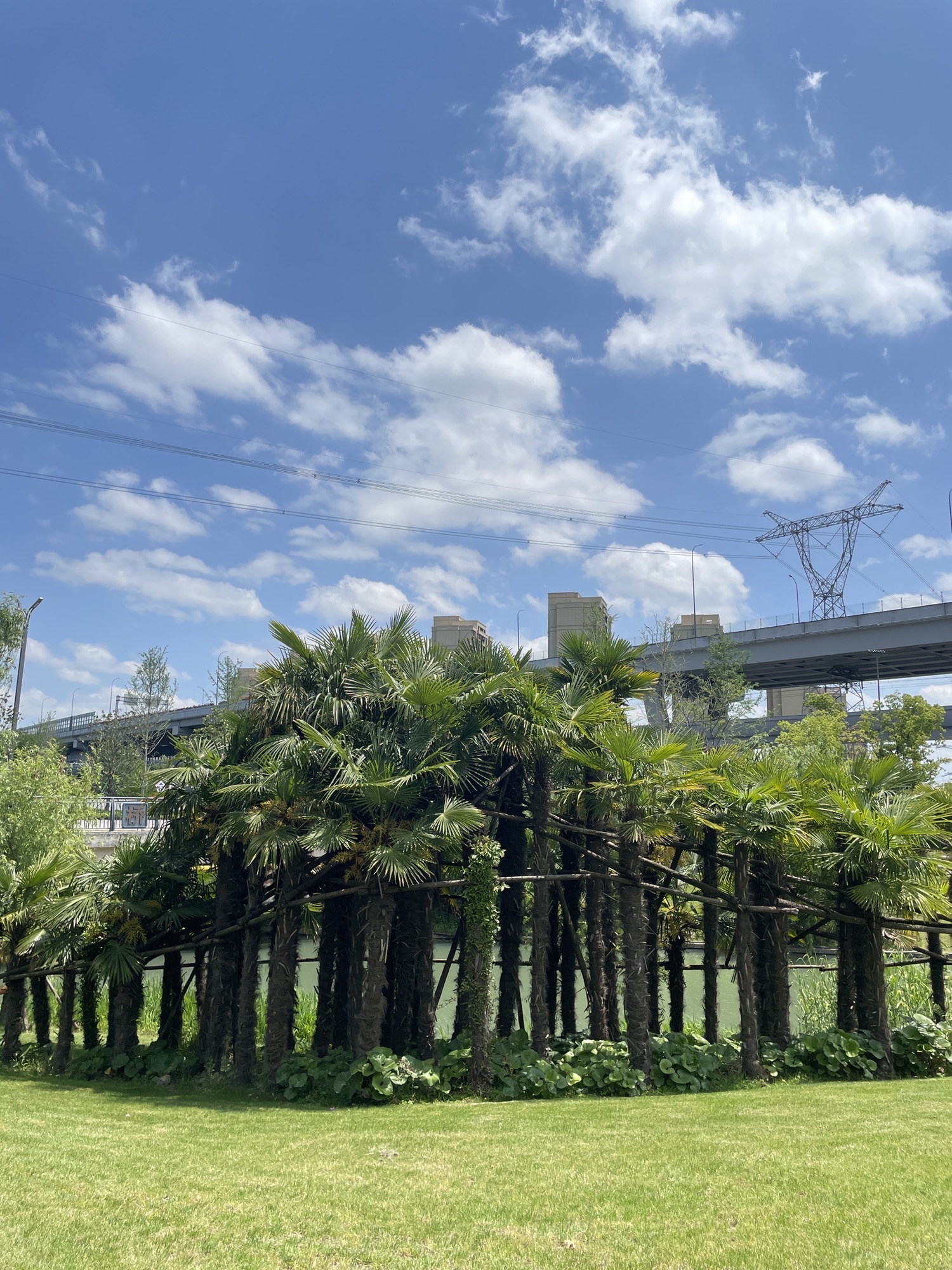 宁波生命科学城·中央公园旅行图片 2