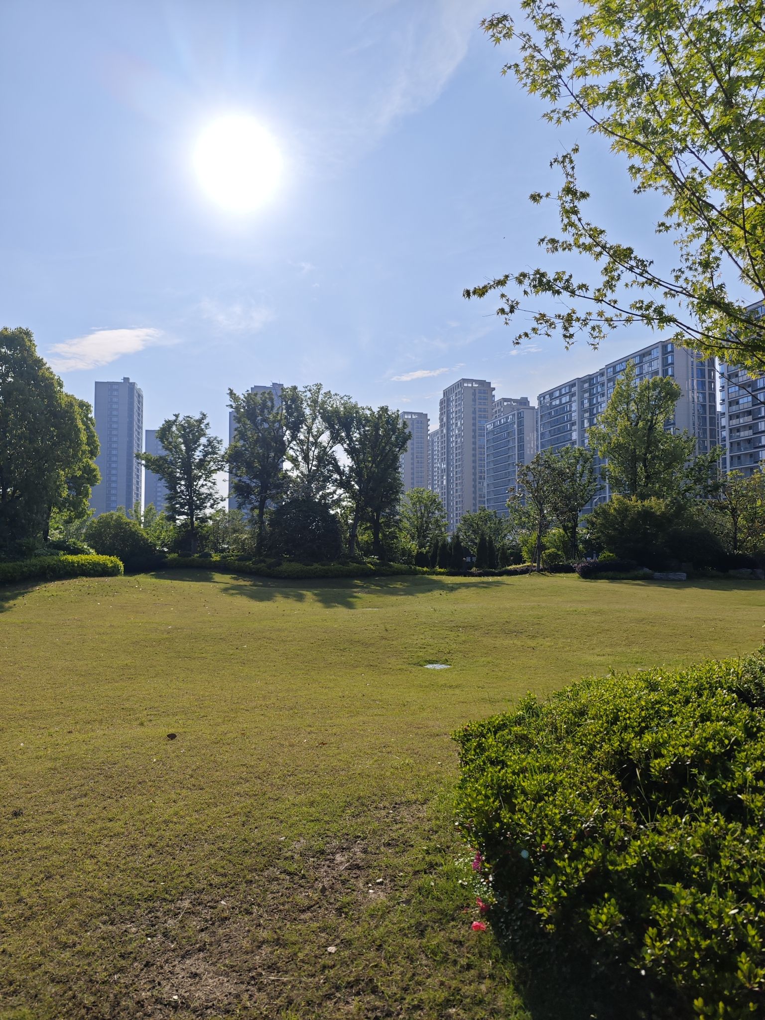 宁波生命科学城·中央公园旅行图片 2