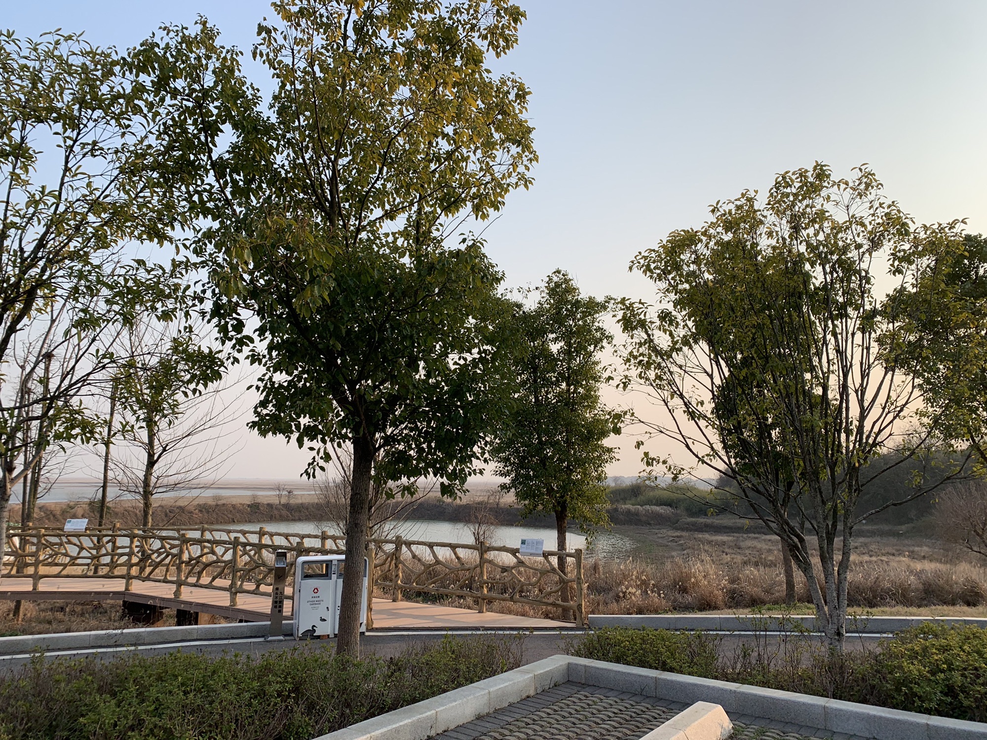 常湖池观鸟点旅行图片 2