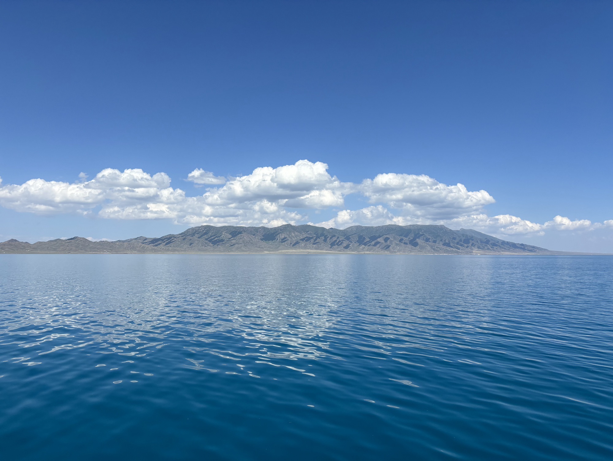 赛里木湖国家级风景名胜区-天鹅乐水